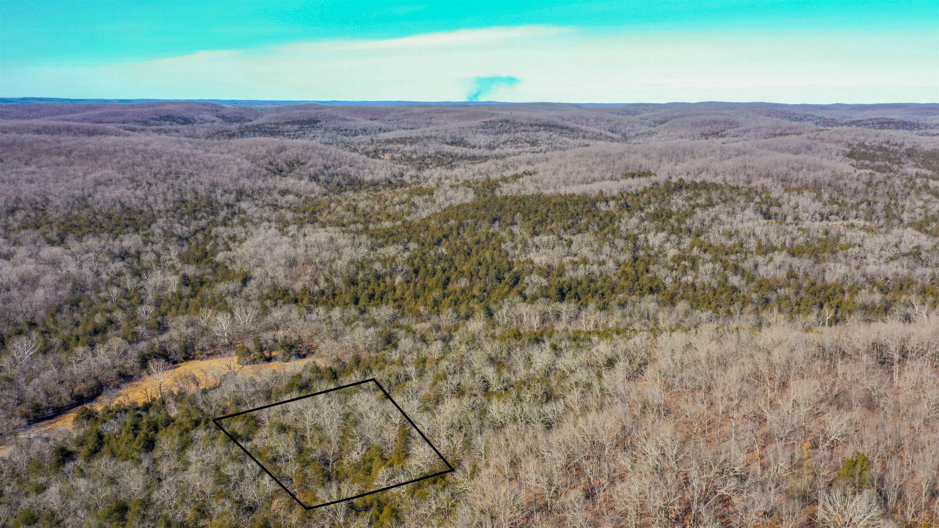 Lot 64  Big Buck  Williford, AR