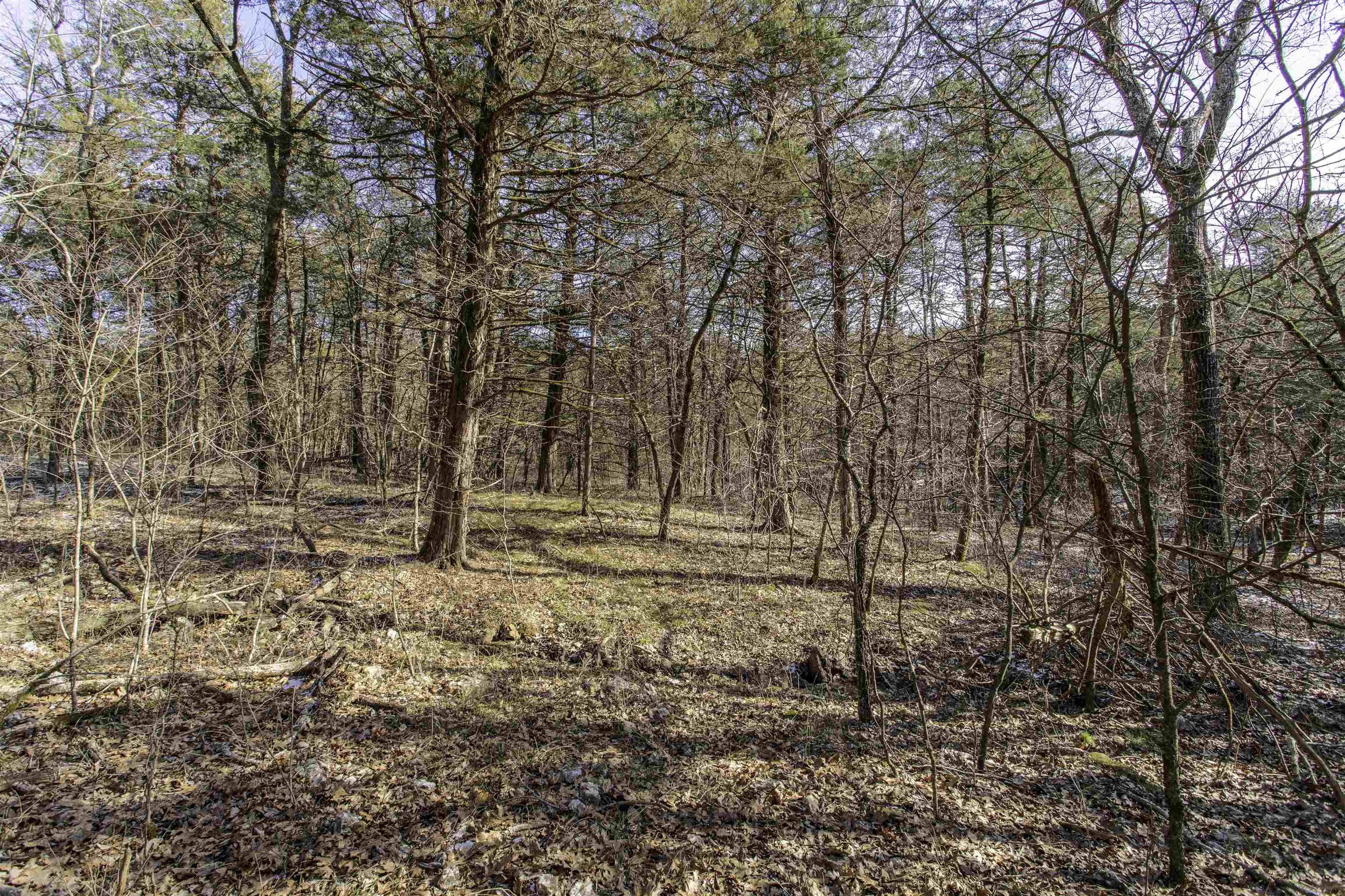 Lot 21  Fawn Ridge Ln  Williford, AR