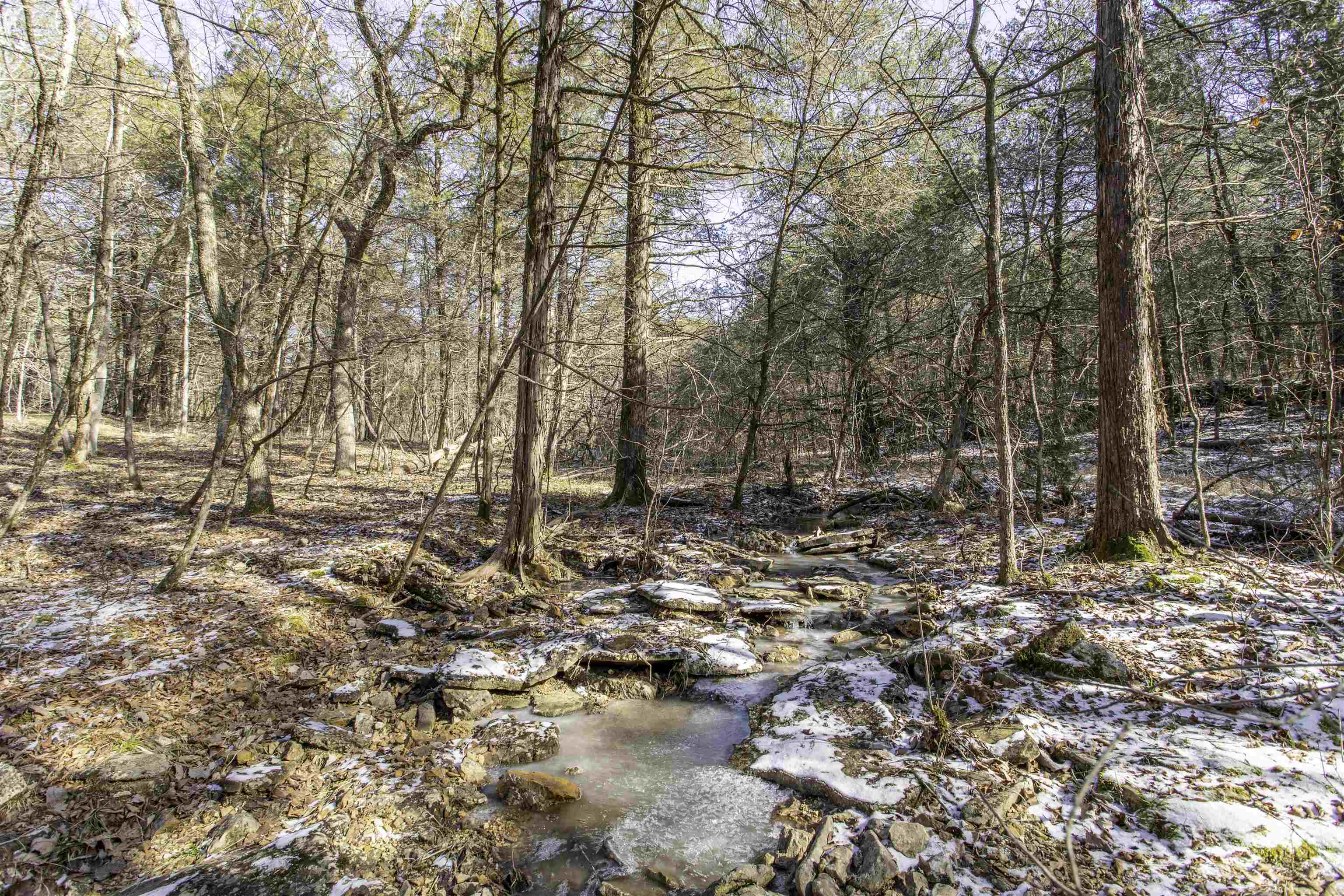 Lot 21  Fawn Ridge Ln  Williford, AR
