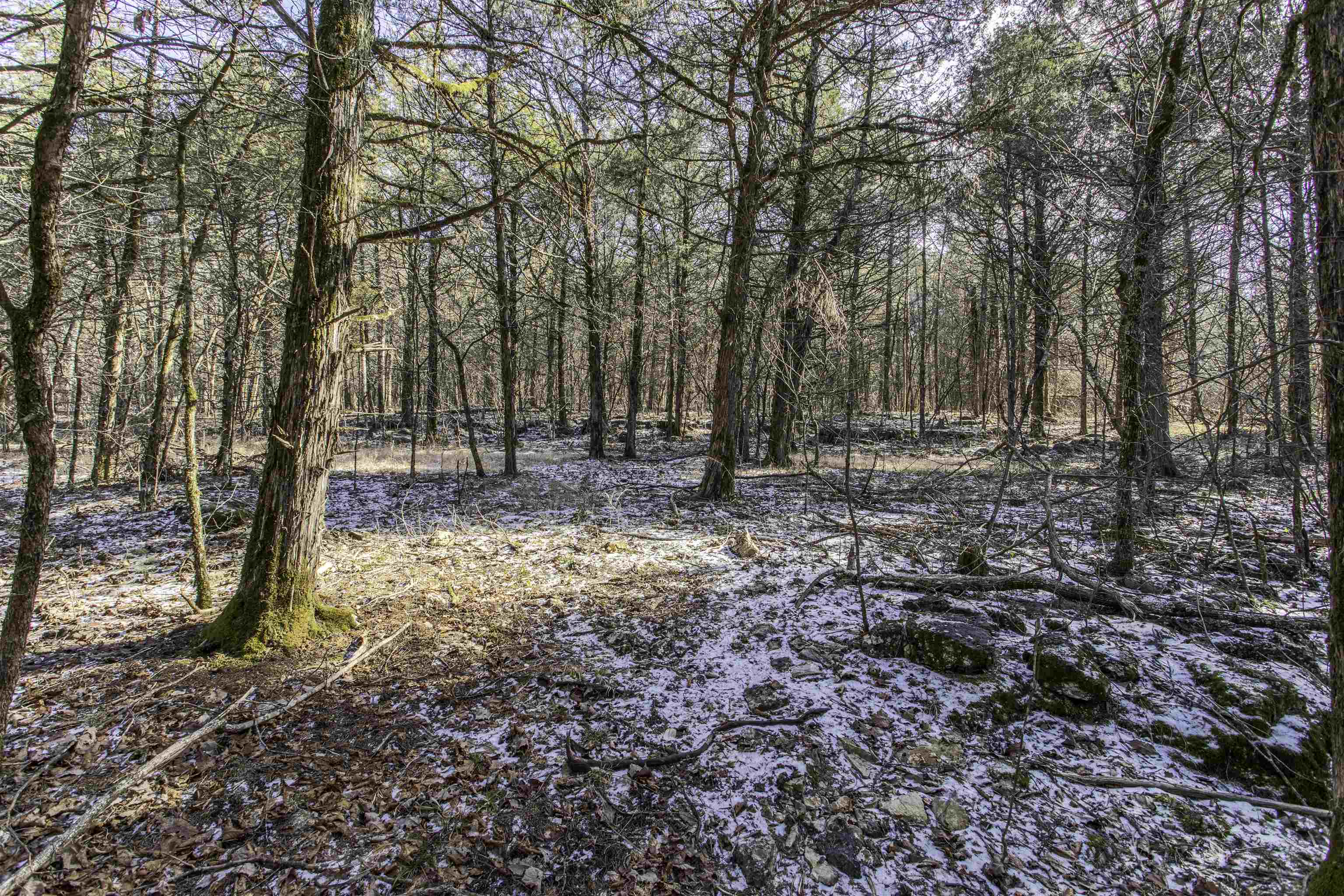Lot 21  Fawn Ridge Ln  Williford, AR