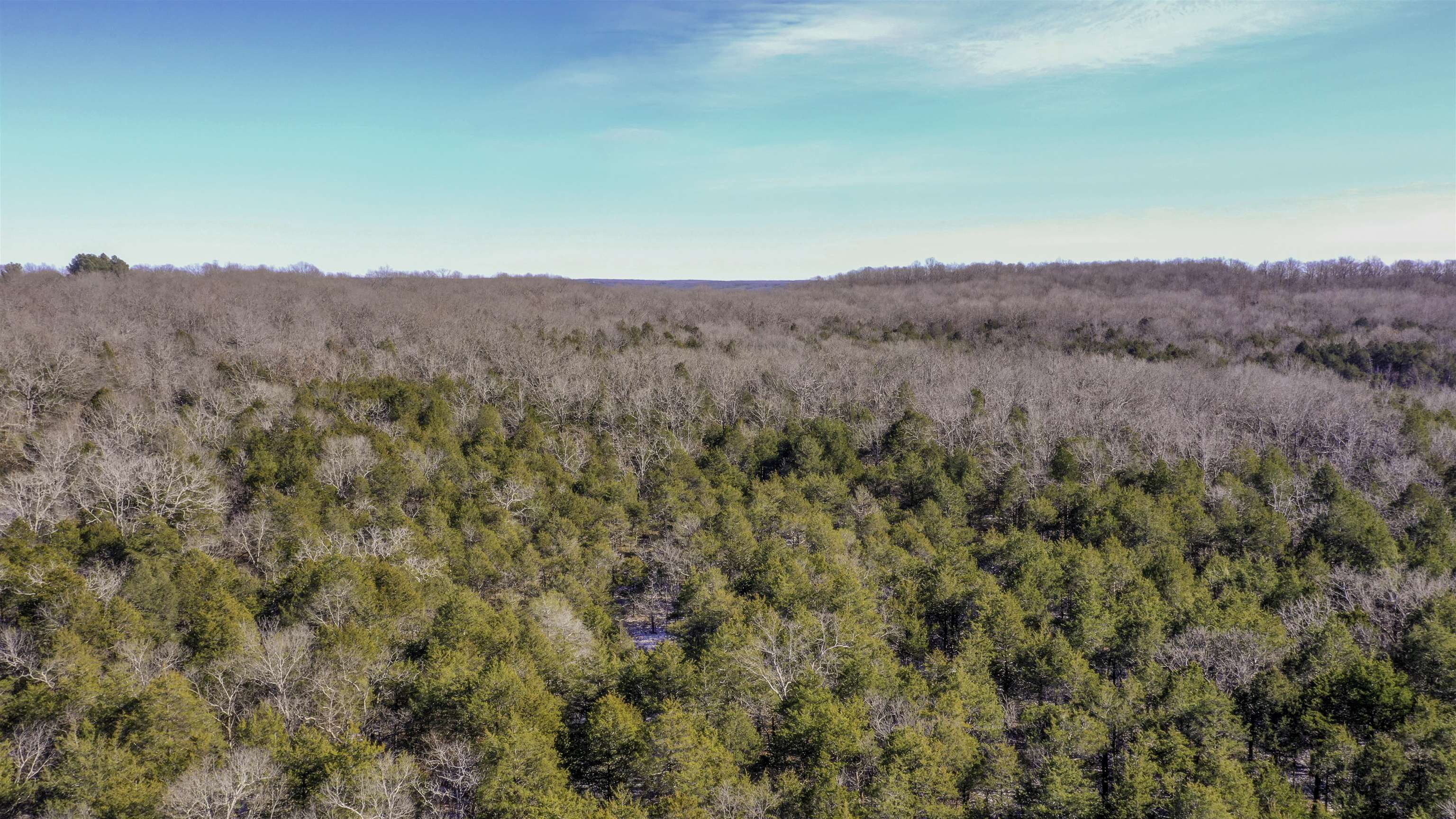 Lot 21  Fawn Ridge Ln  Williford, AR