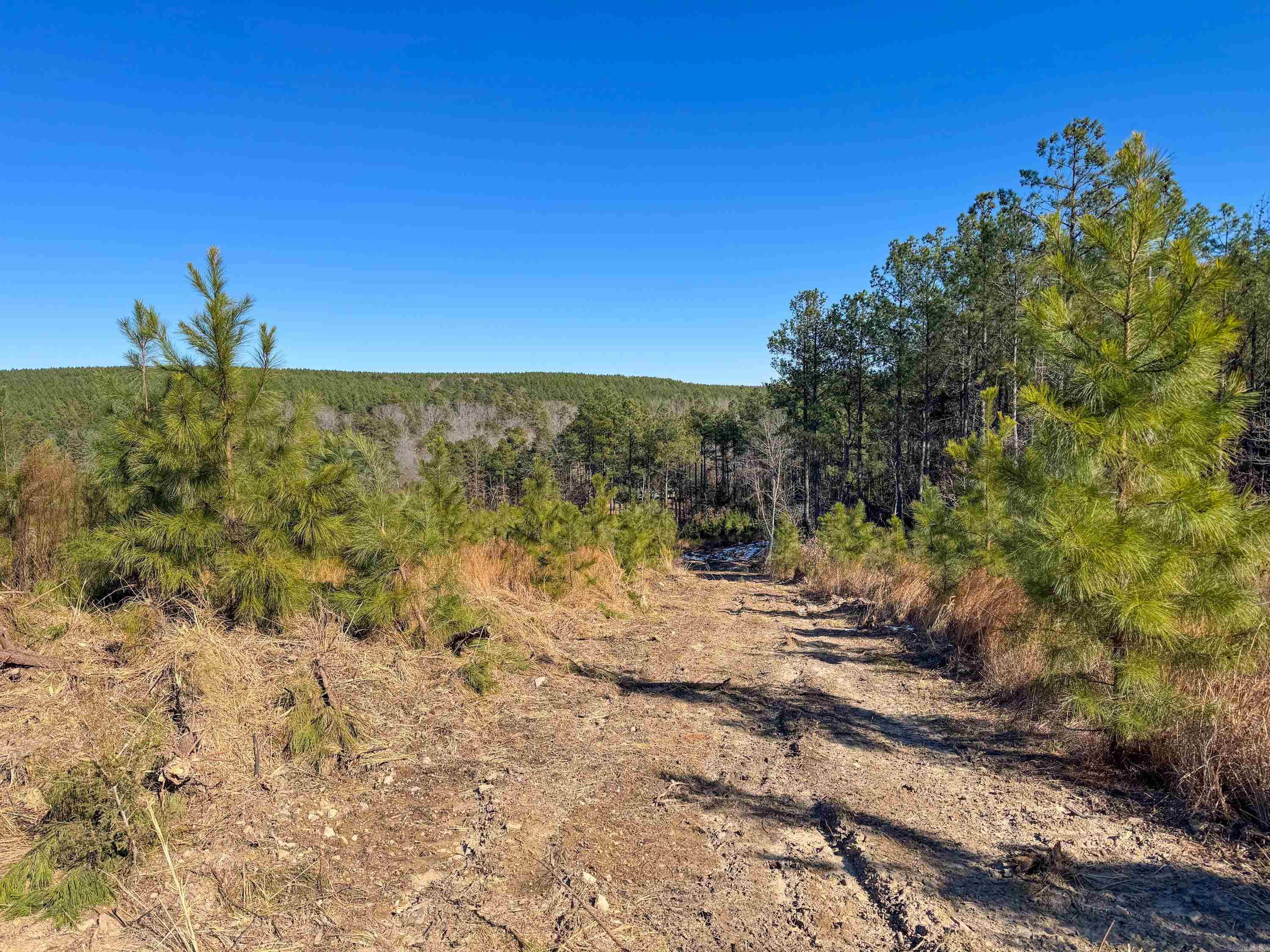 950  Tarter Hill  Quitman, AR