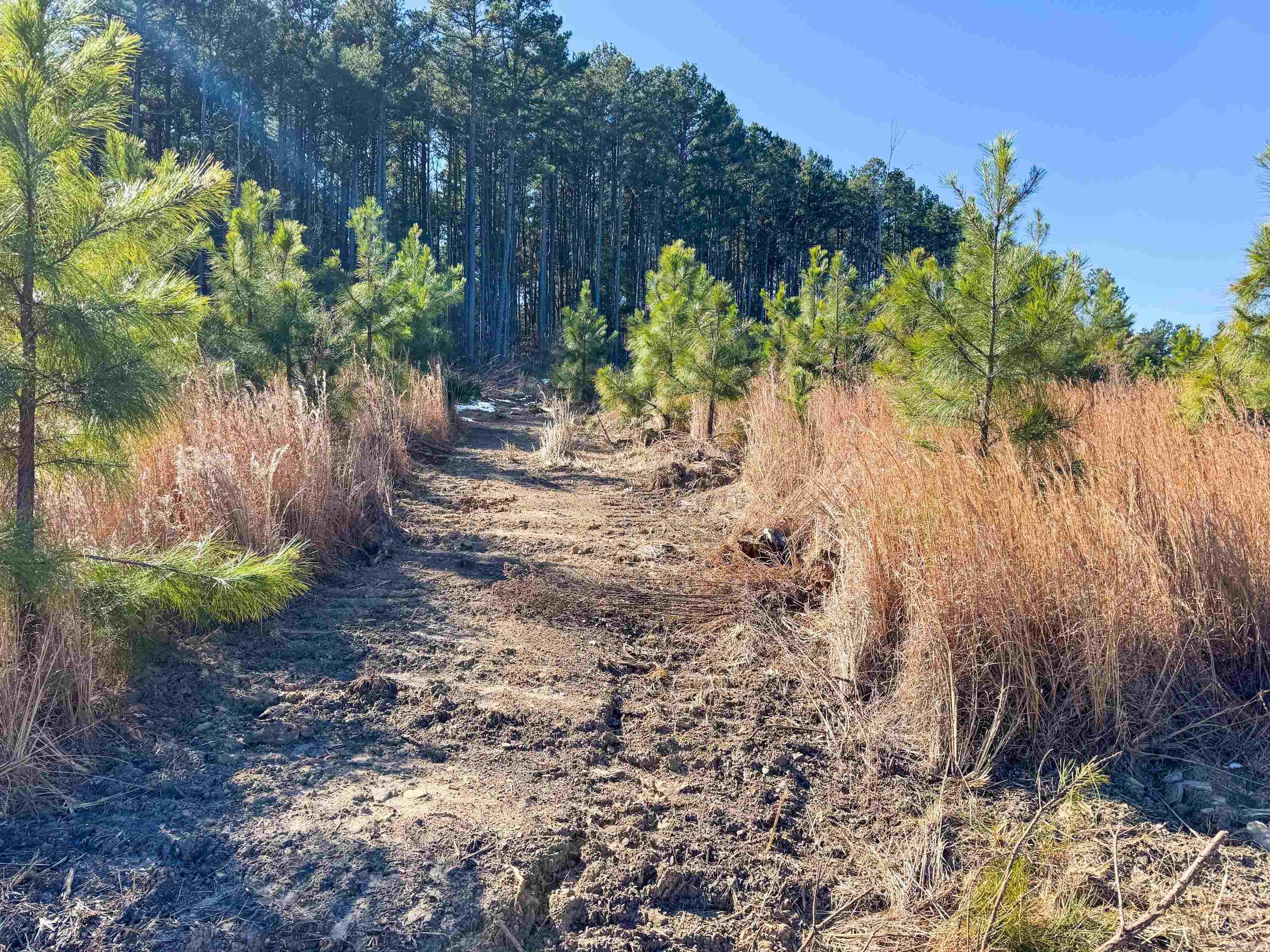 950  Tarter Hill  Quitman, AR