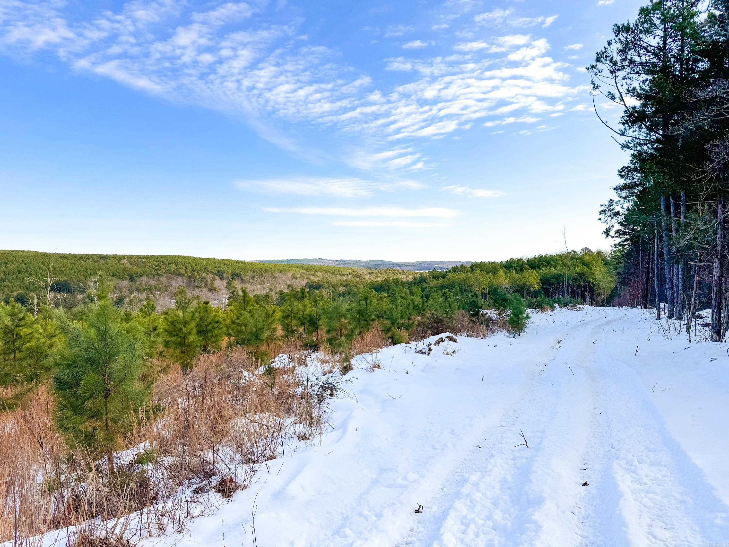 952  Tarter Hill  Quitman, AR