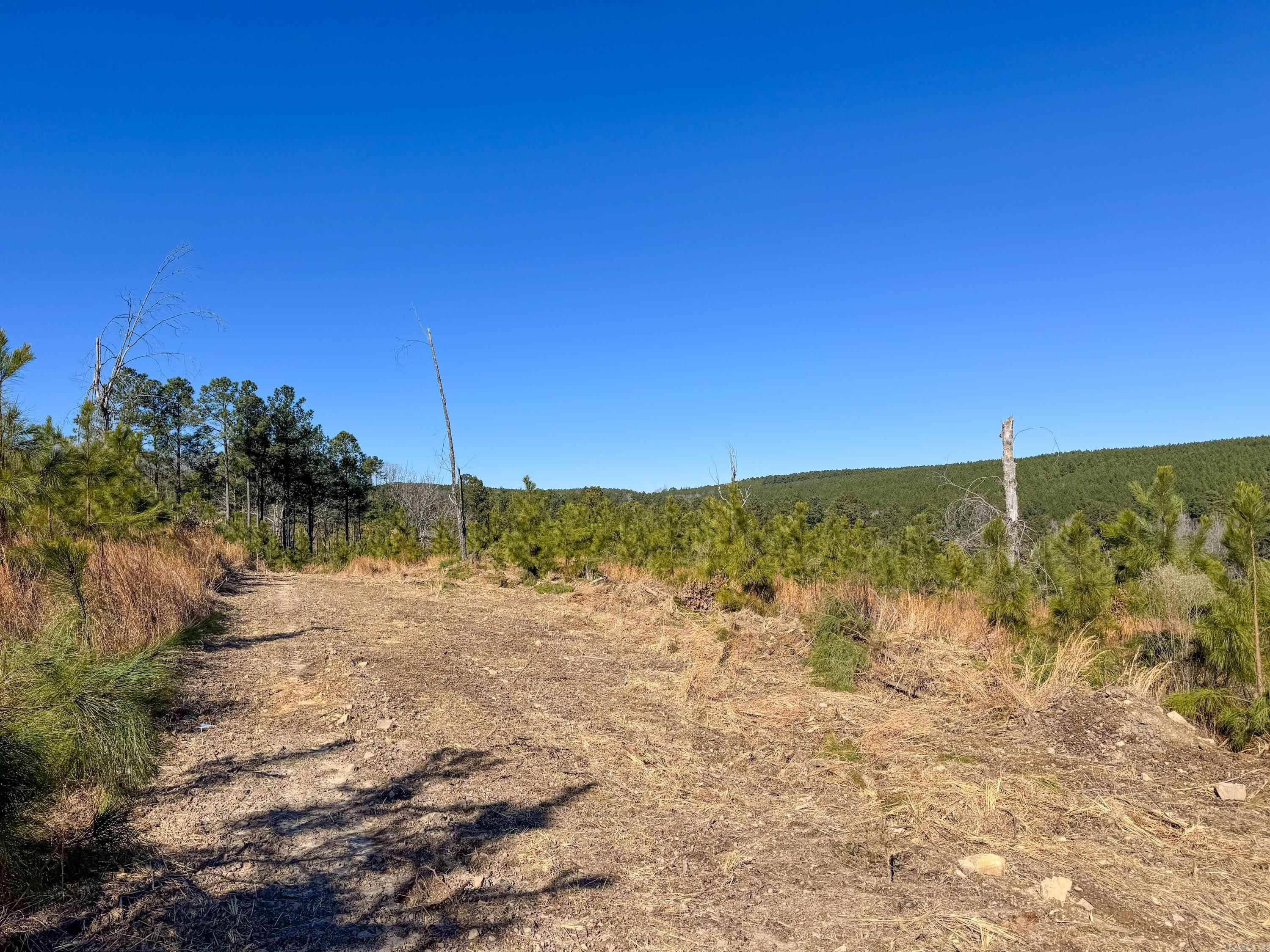 952  Tarter Hill  Quitman, AR