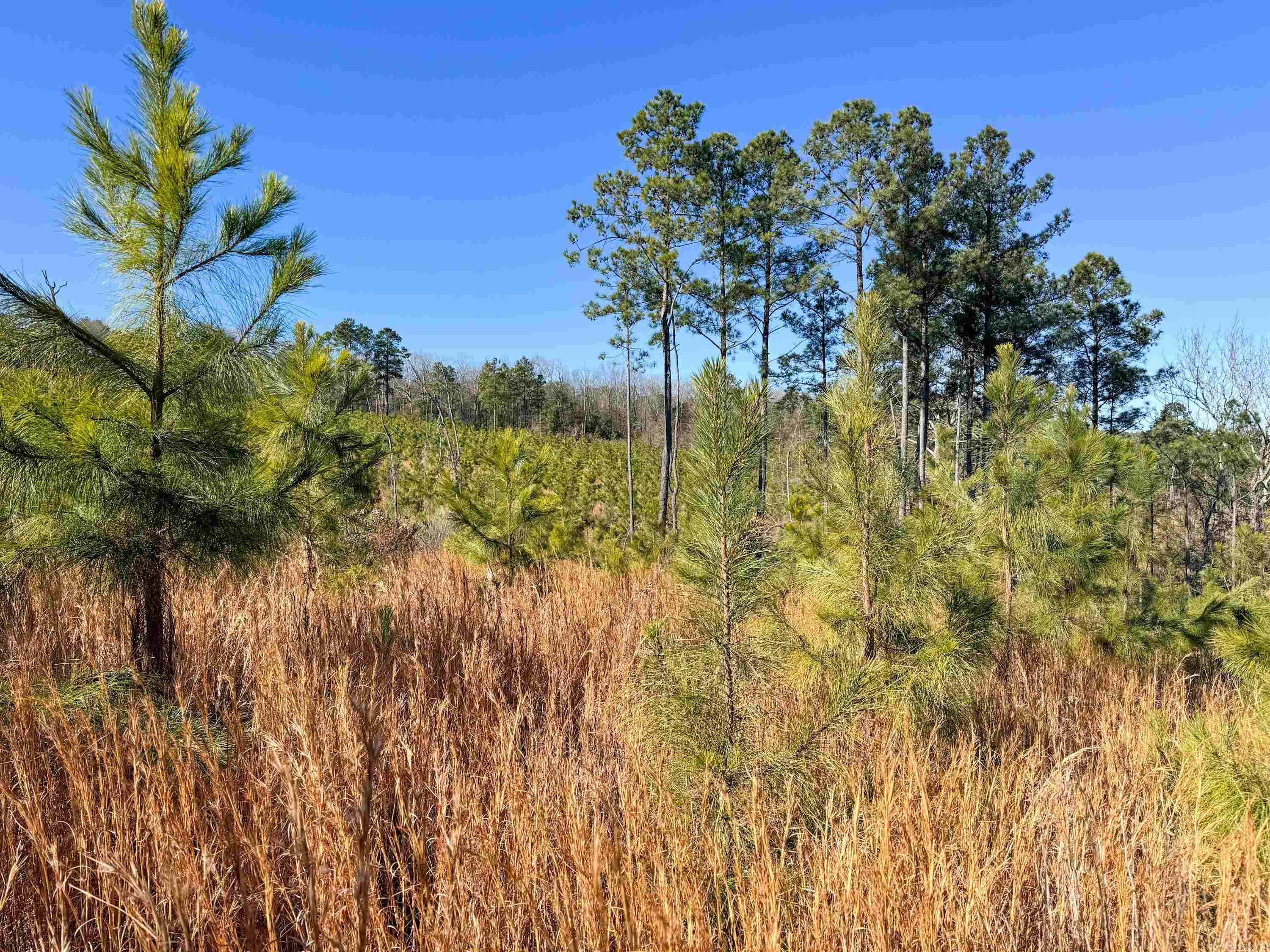 952  Tarter Hill  Quitman, AR