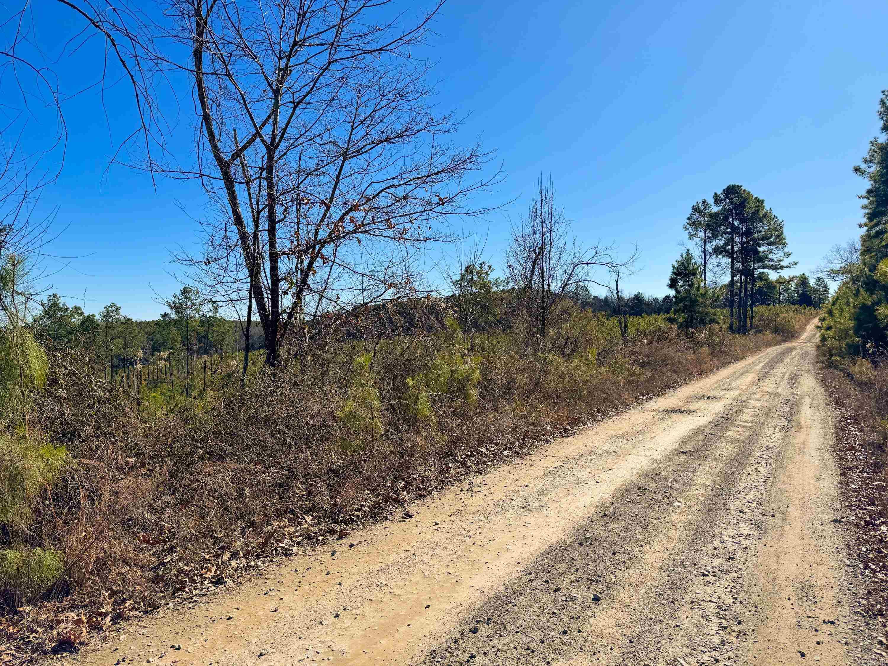 952  Tarter Hill  Quitman, AR