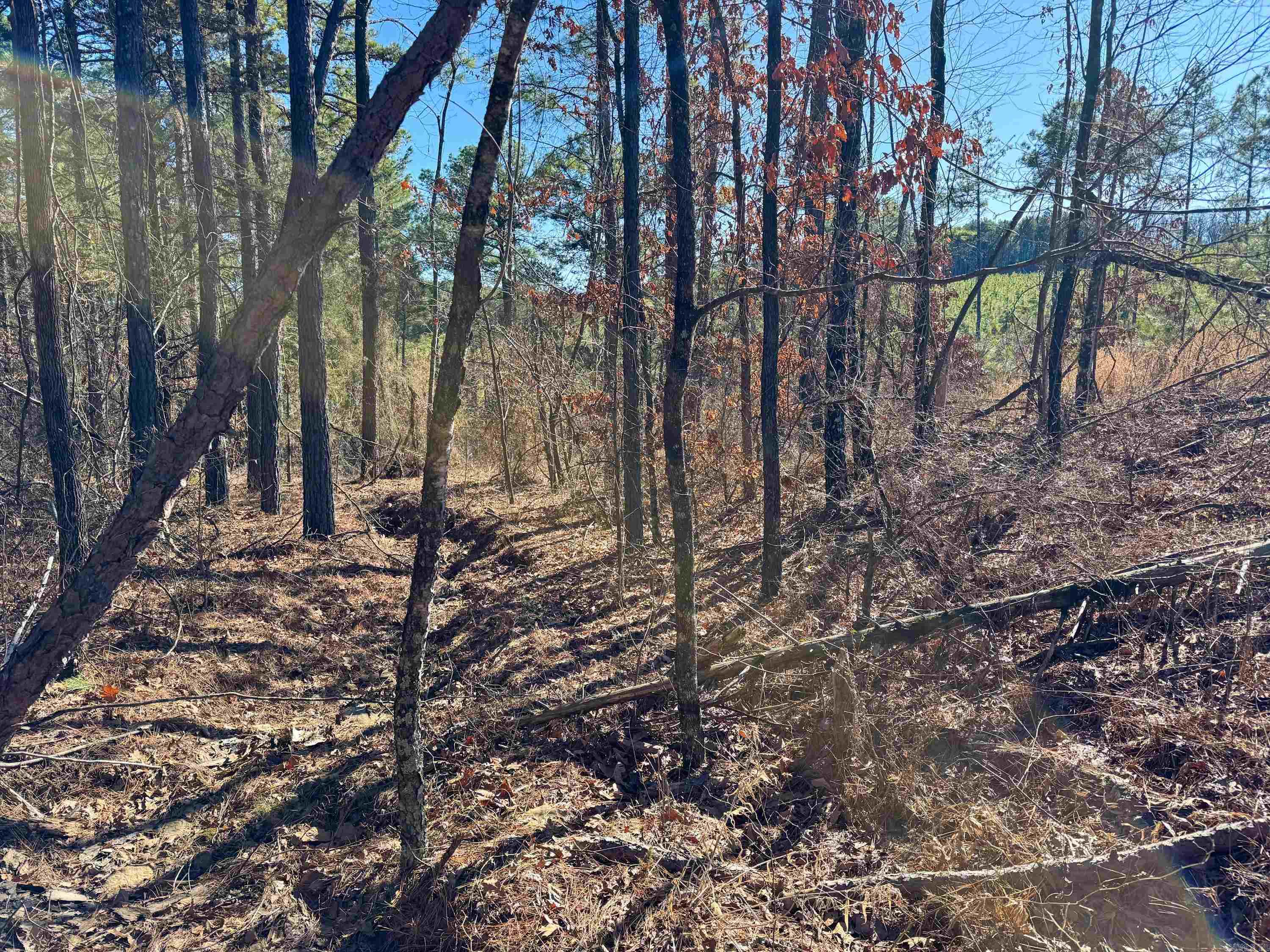 952  Tarter Hill  Quitman, AR