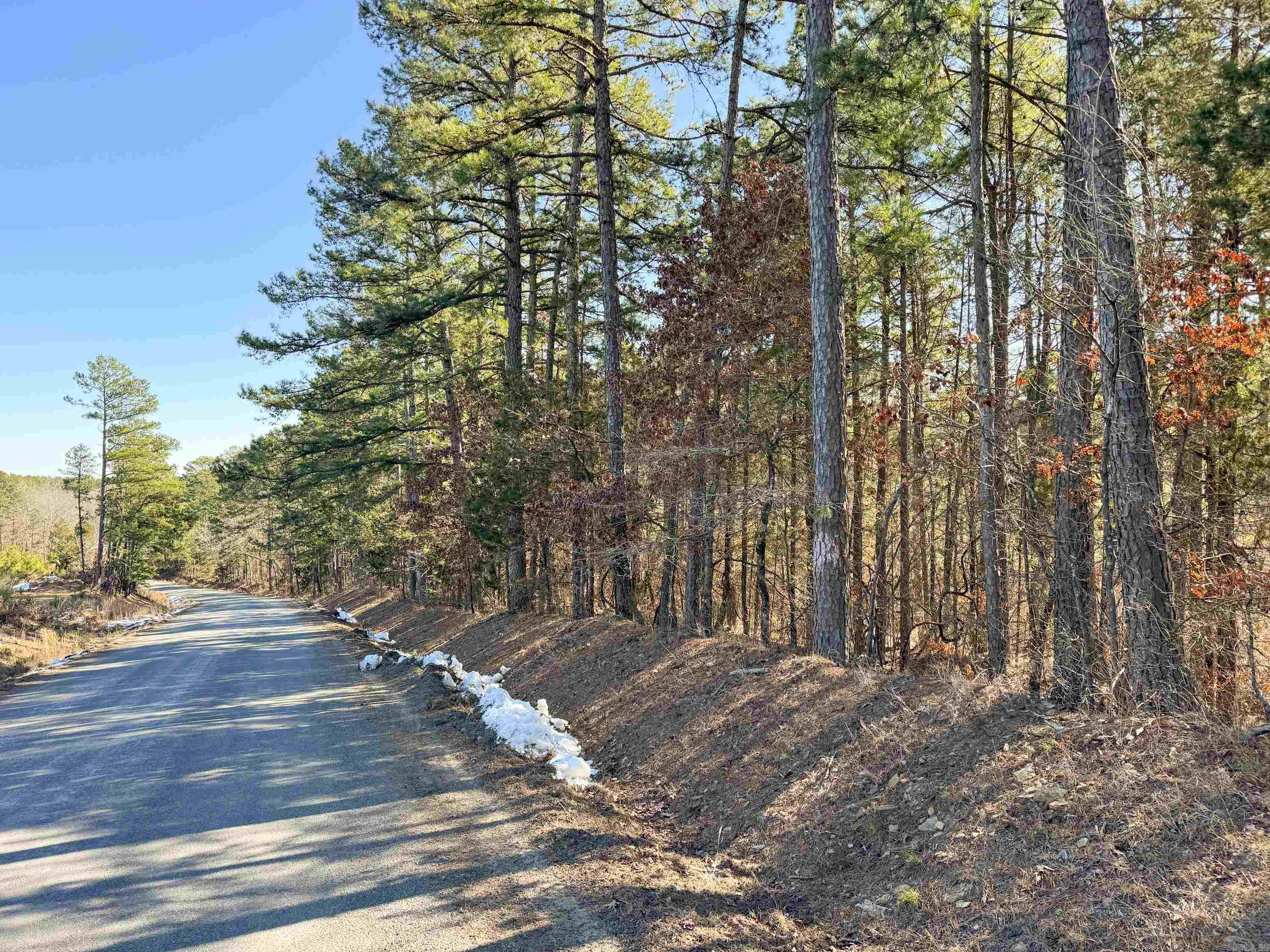 952  Tarter Hill  Quitman, AR