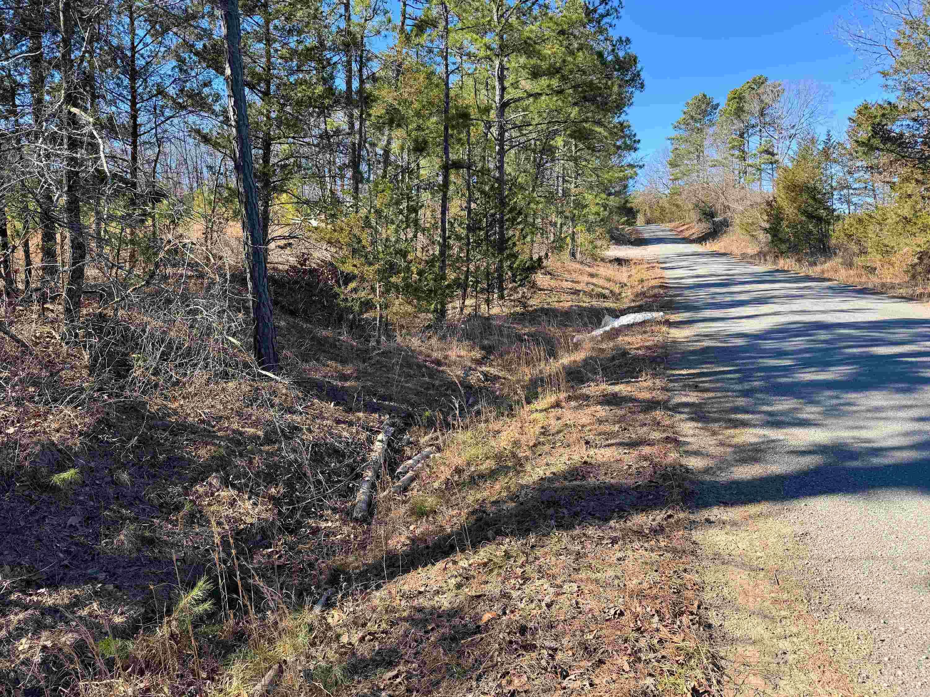 952  Tarter Hill  Quitman, AR