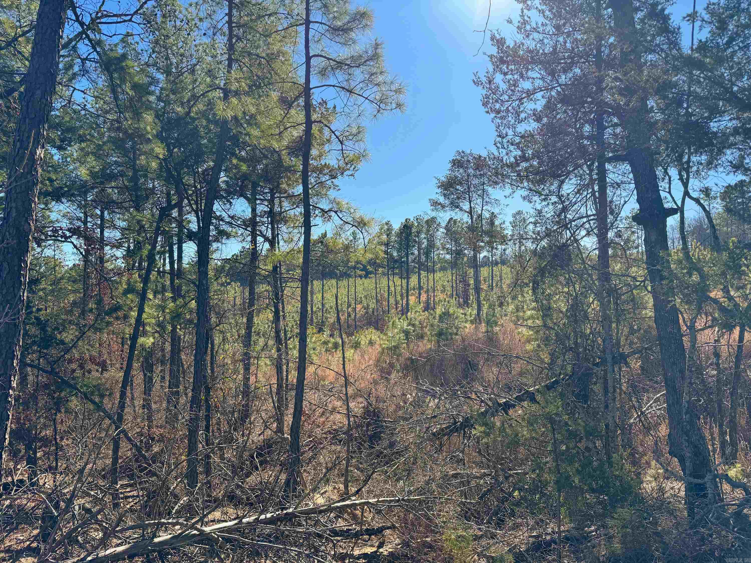 952  Tarter Hill  Quitman, AR