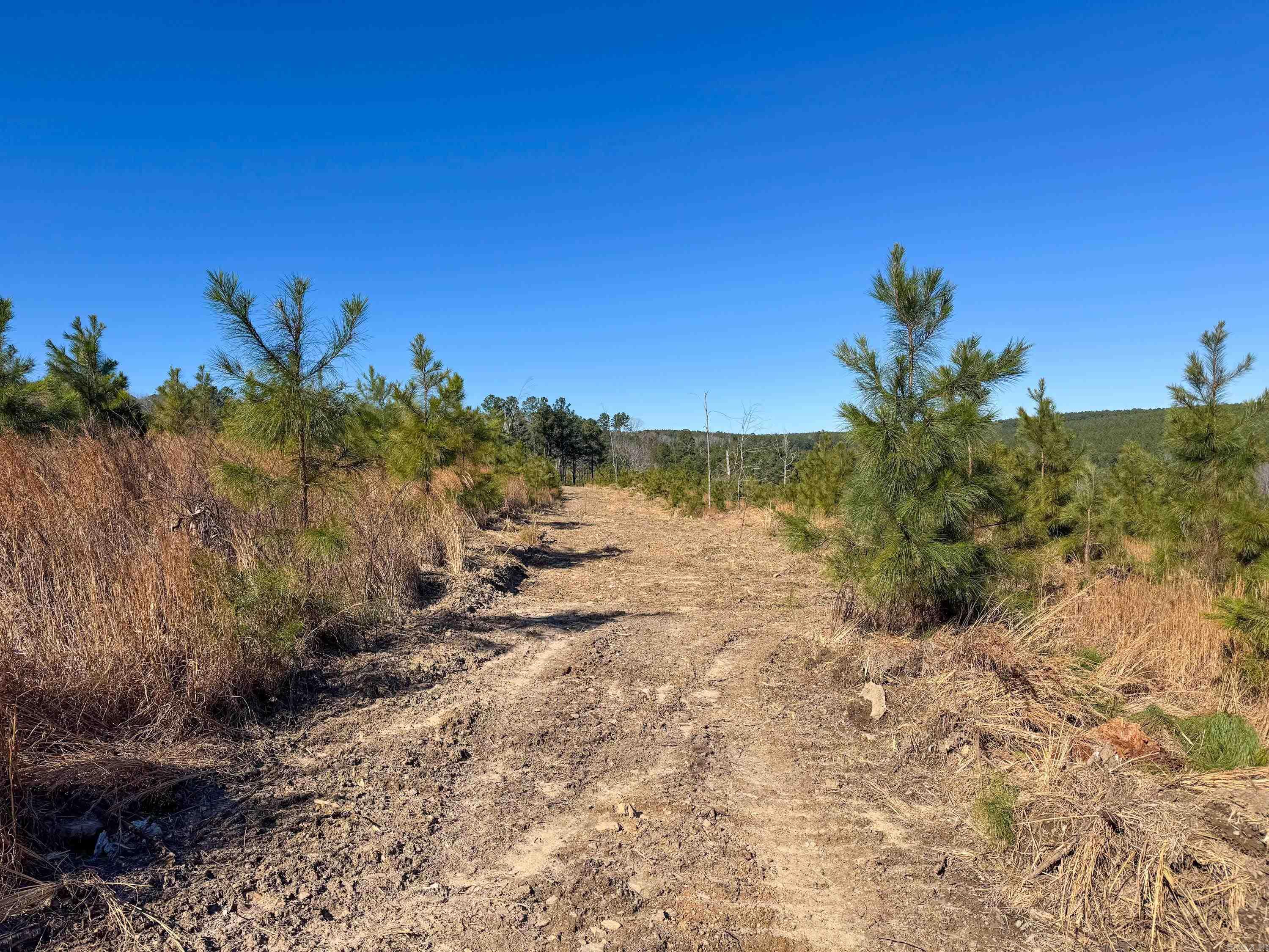 952  Tarter Hill  Quitman, AR
