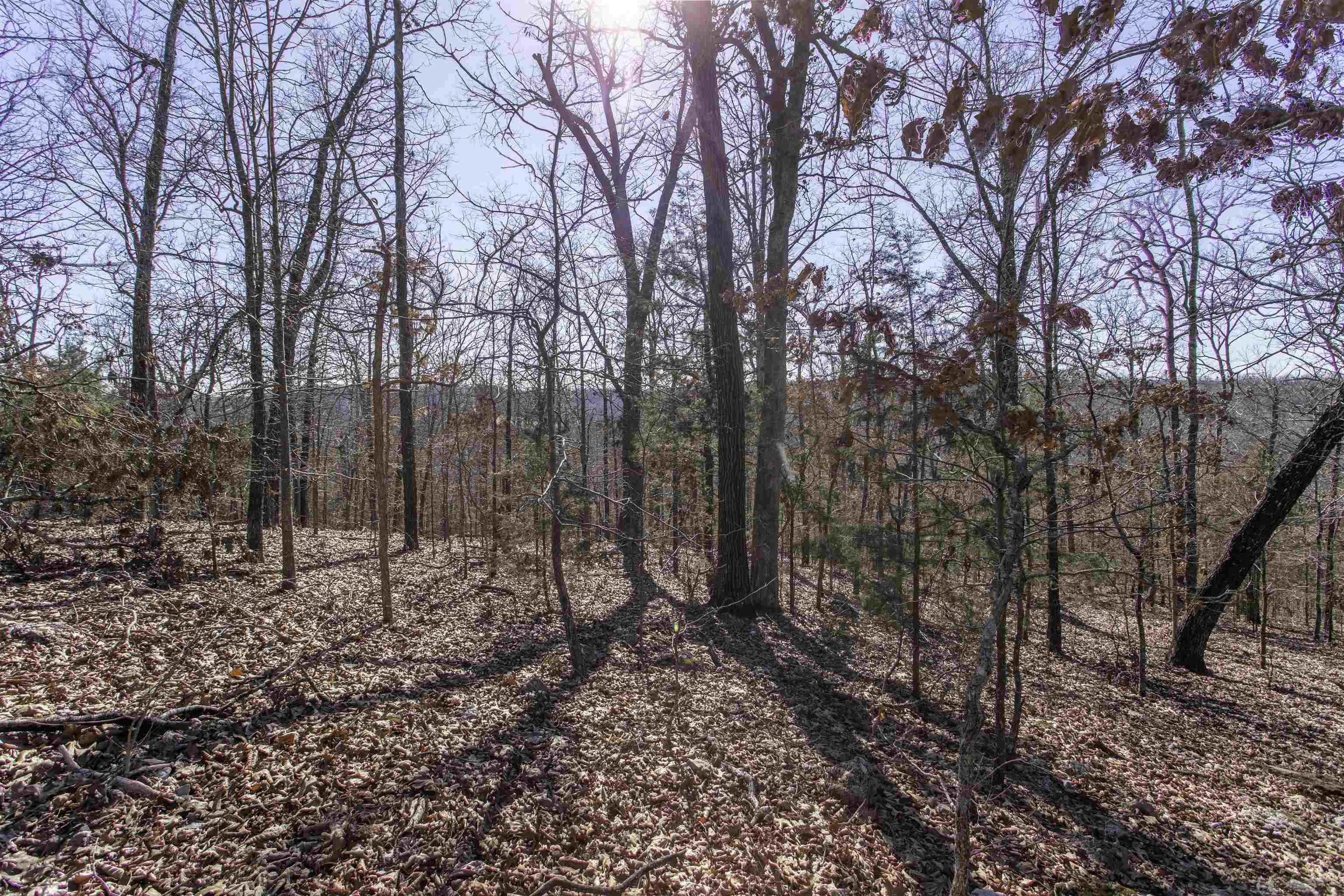   River  Hardy, AR