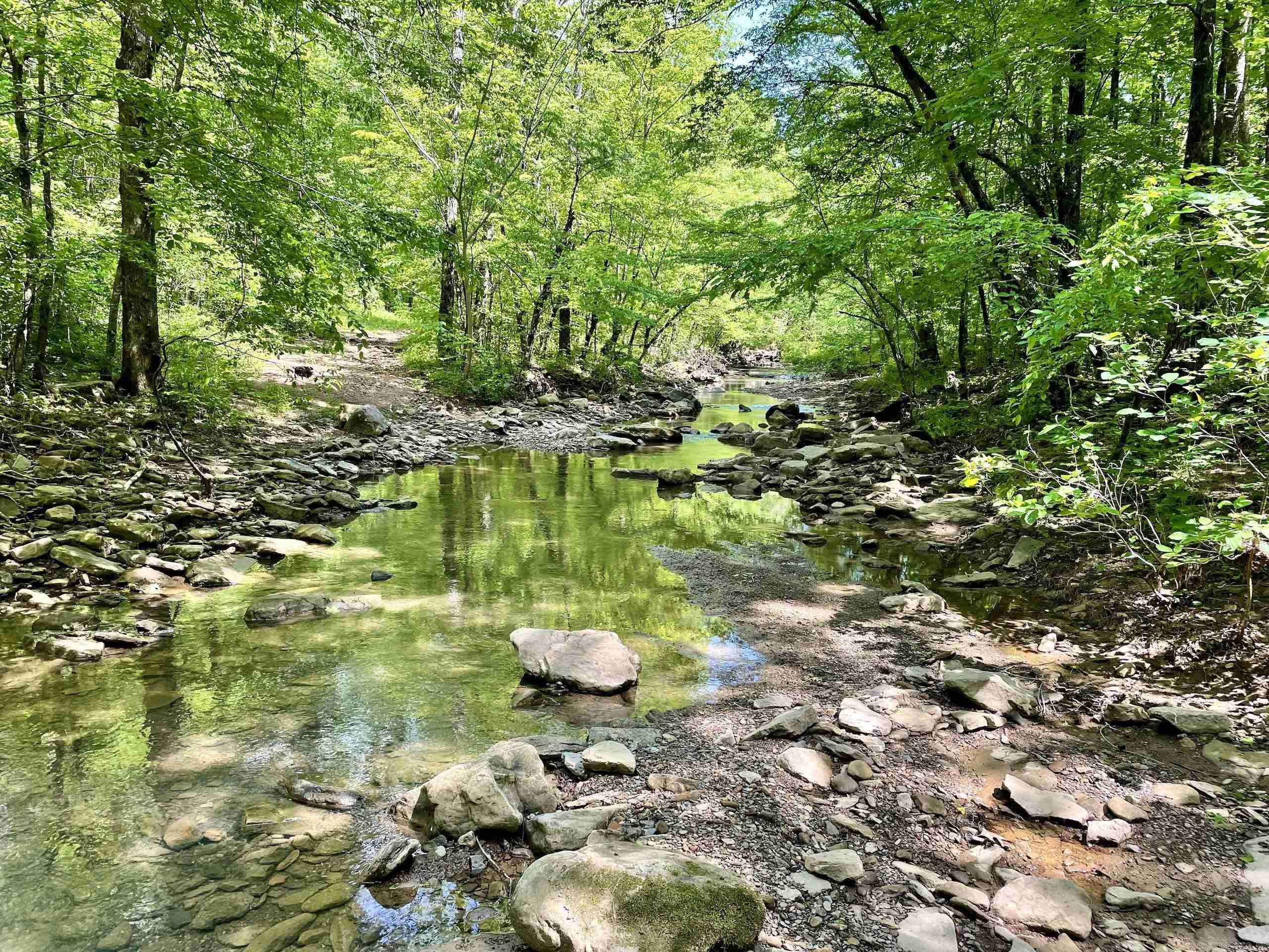 000  White Oak Mt  Hector, AR