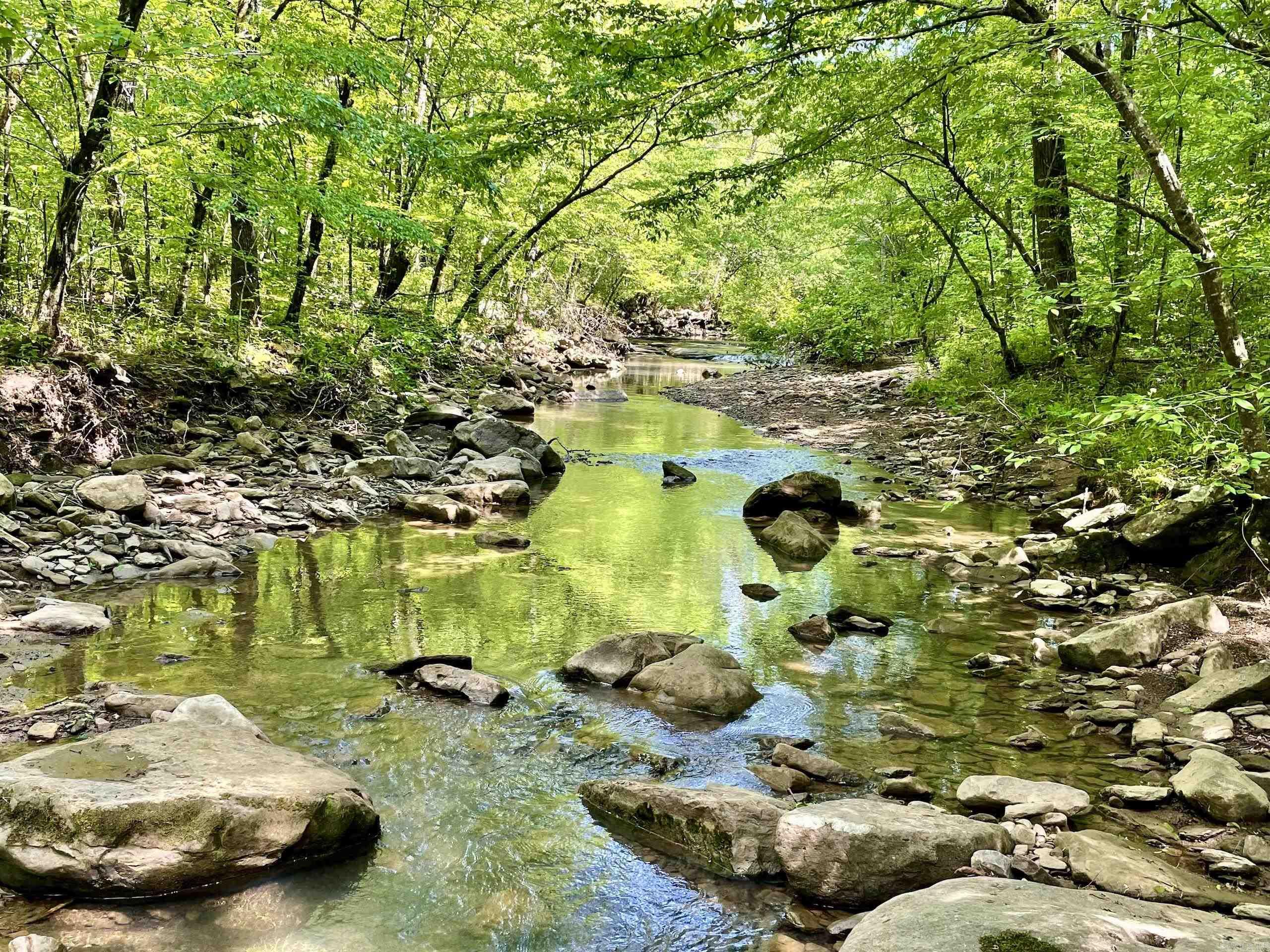 000  White Oak Mt  Hector, AR