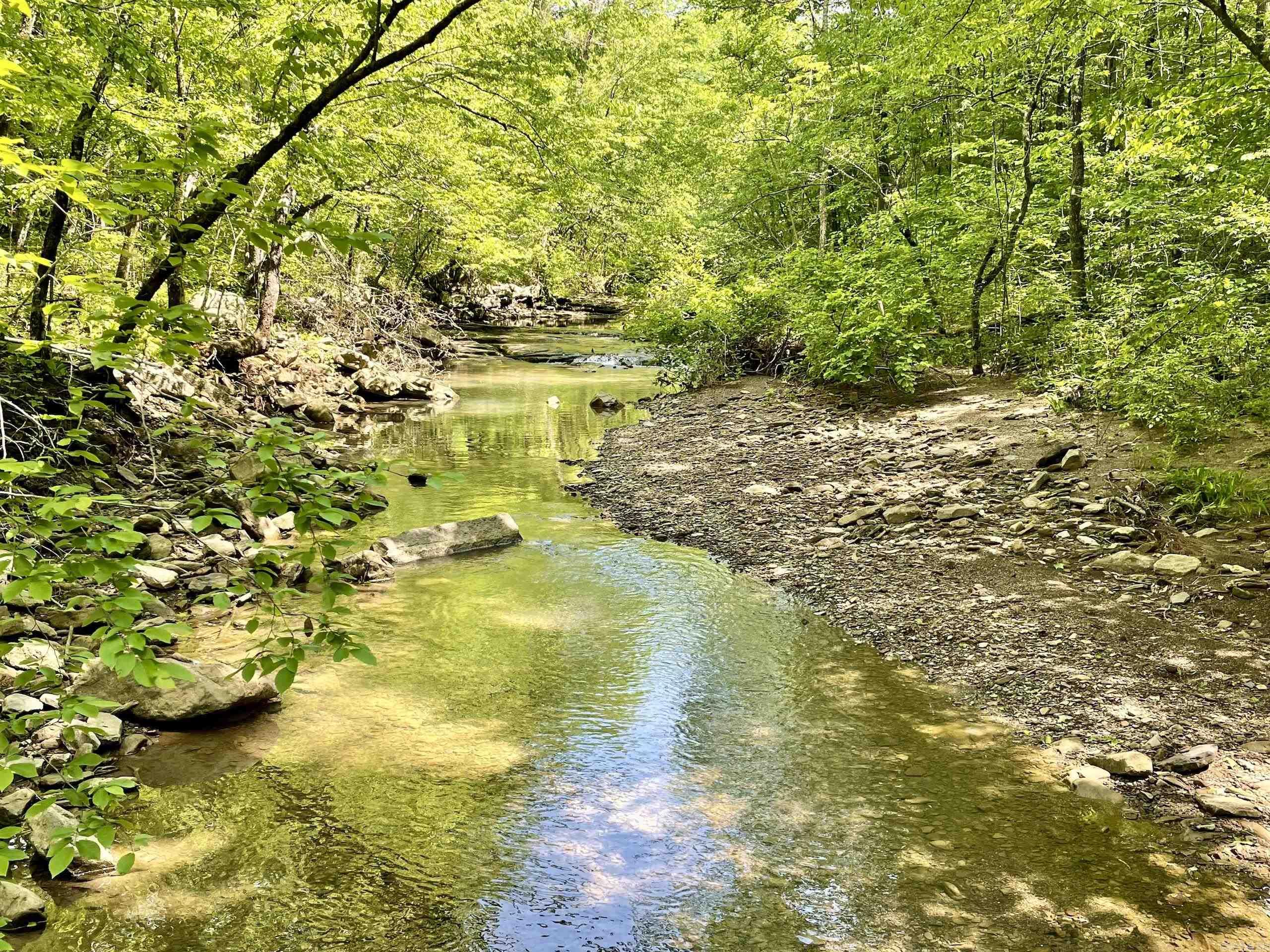000  White Oak Mt  Hector, AR