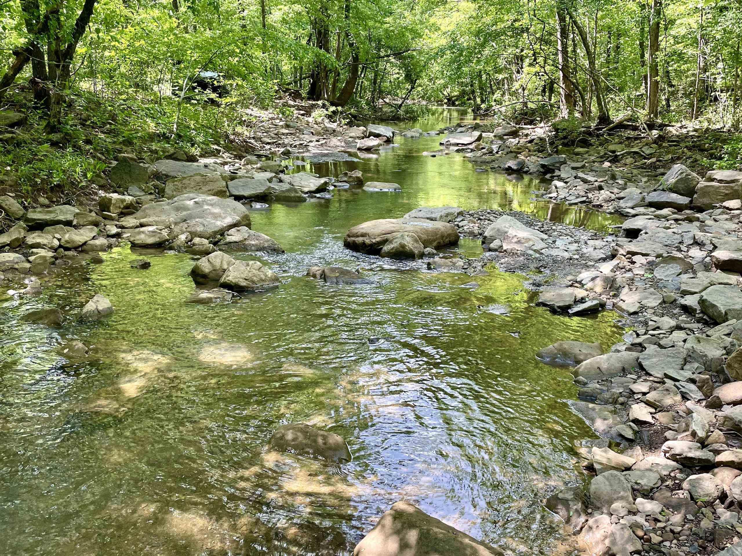 000  White Oak Mt  Hector, AR