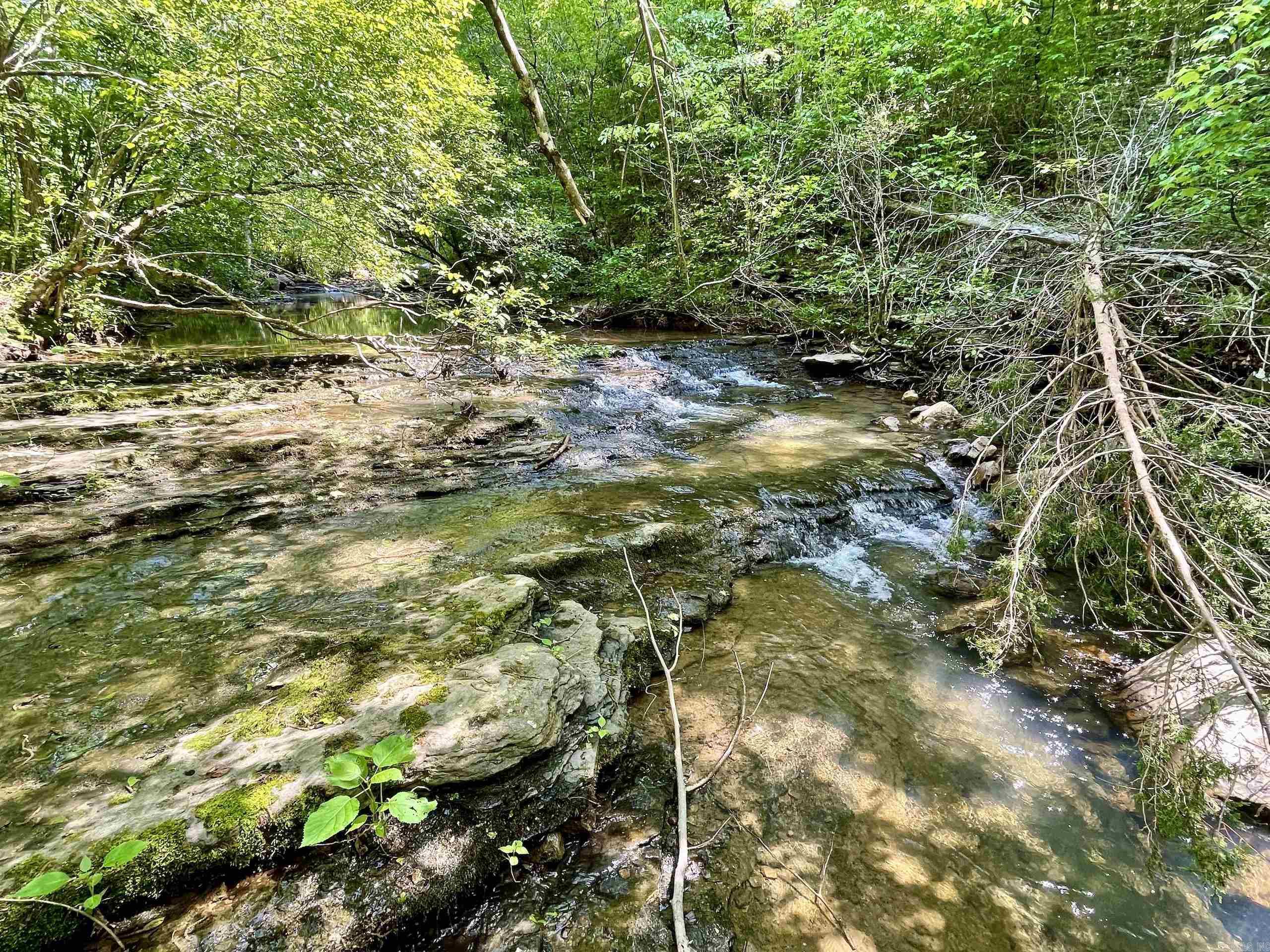 000  White Oak Mt  Hector, AR