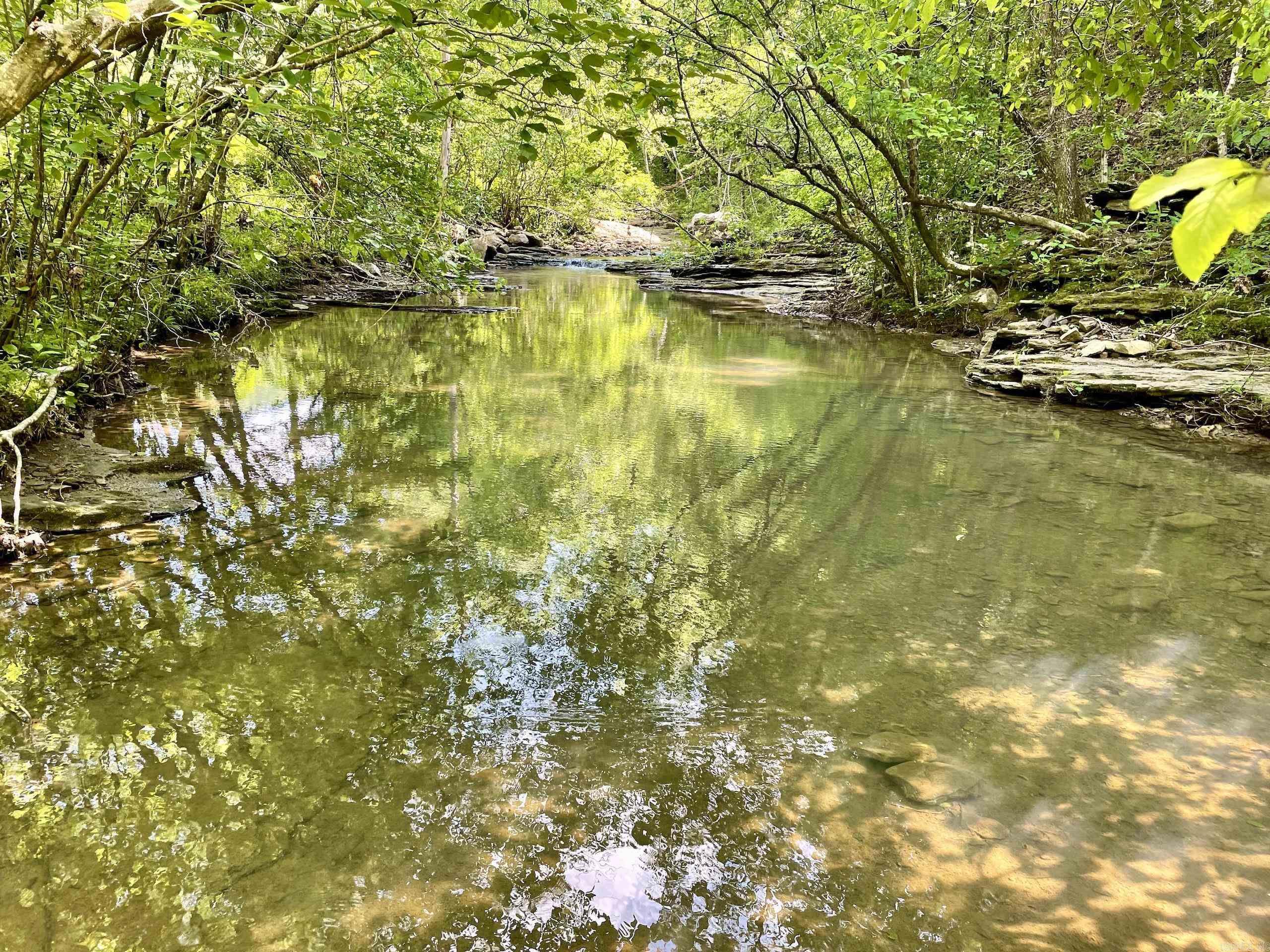 000  White Oak Mt  Hector, AR