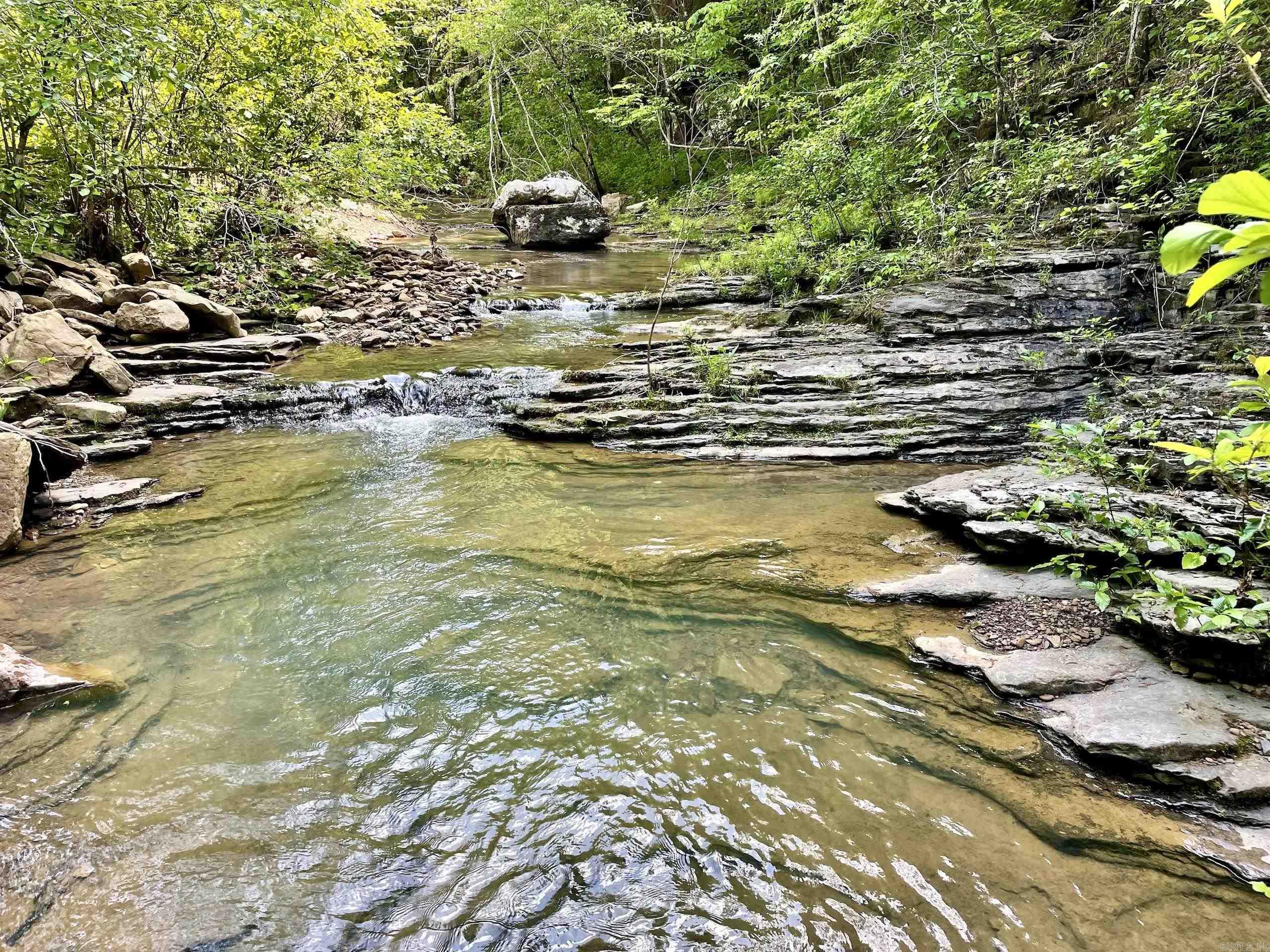 000  White Oak Mt  Hector, AR