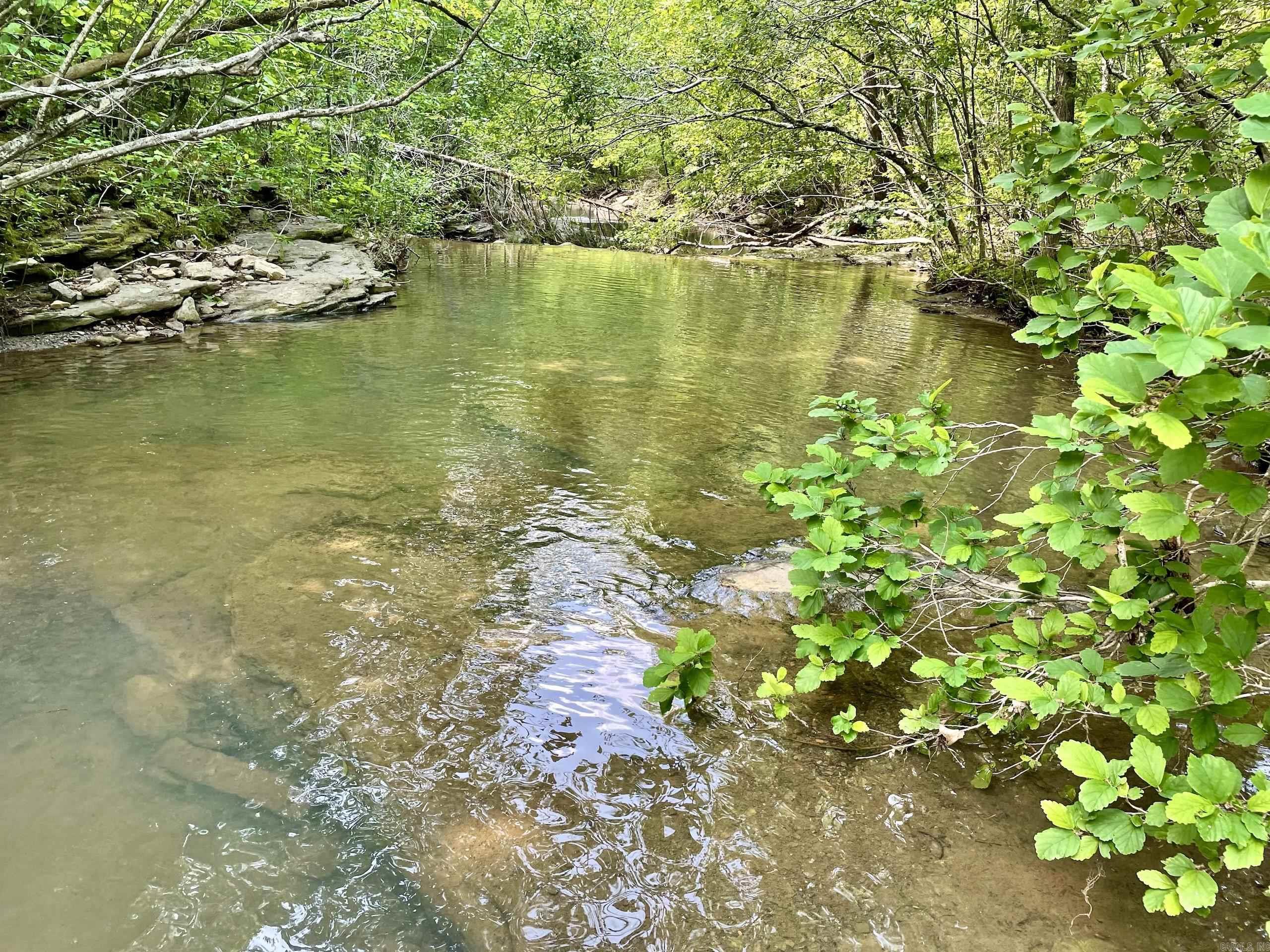 000  White Oak Mt  Hector, AR