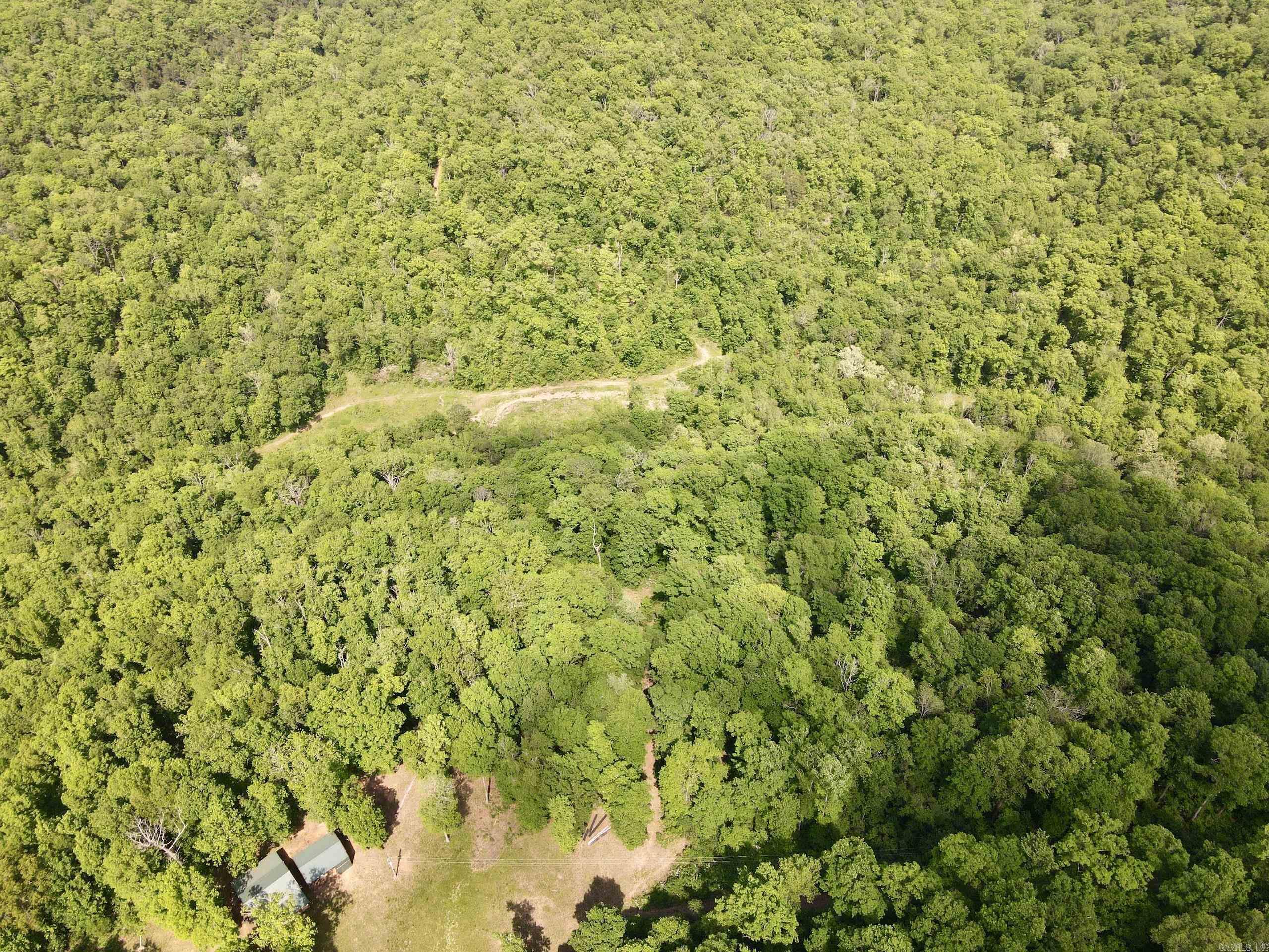 000  White Oak Mt  Hector, AR