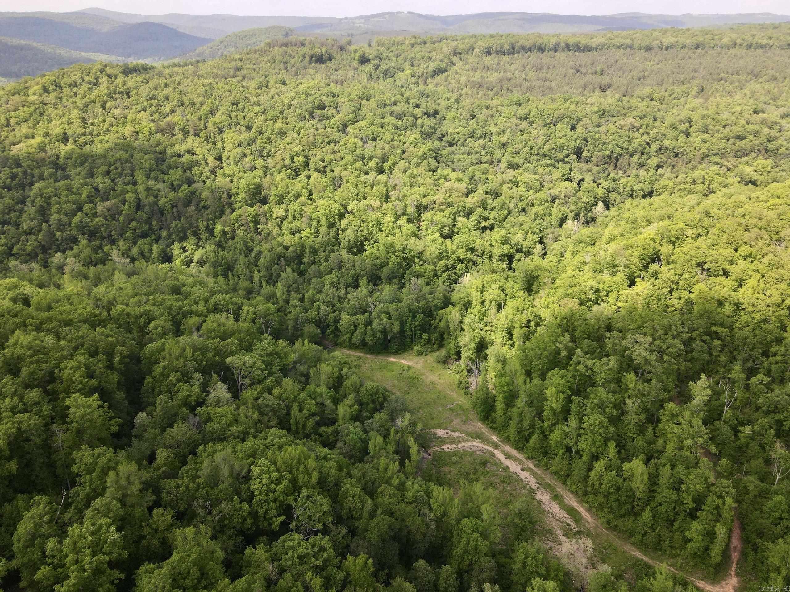 000  White Oak Mt  Hector, AR