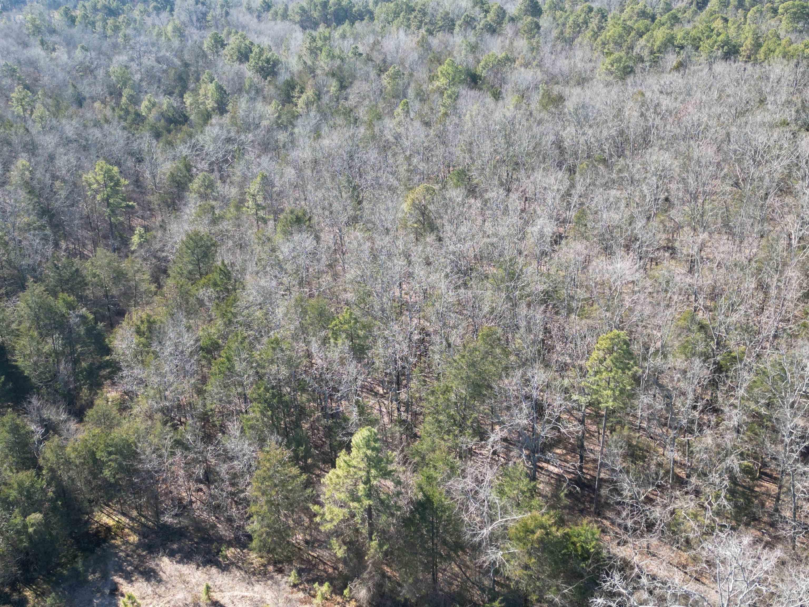 6  shafer  Jerusalem, AR
