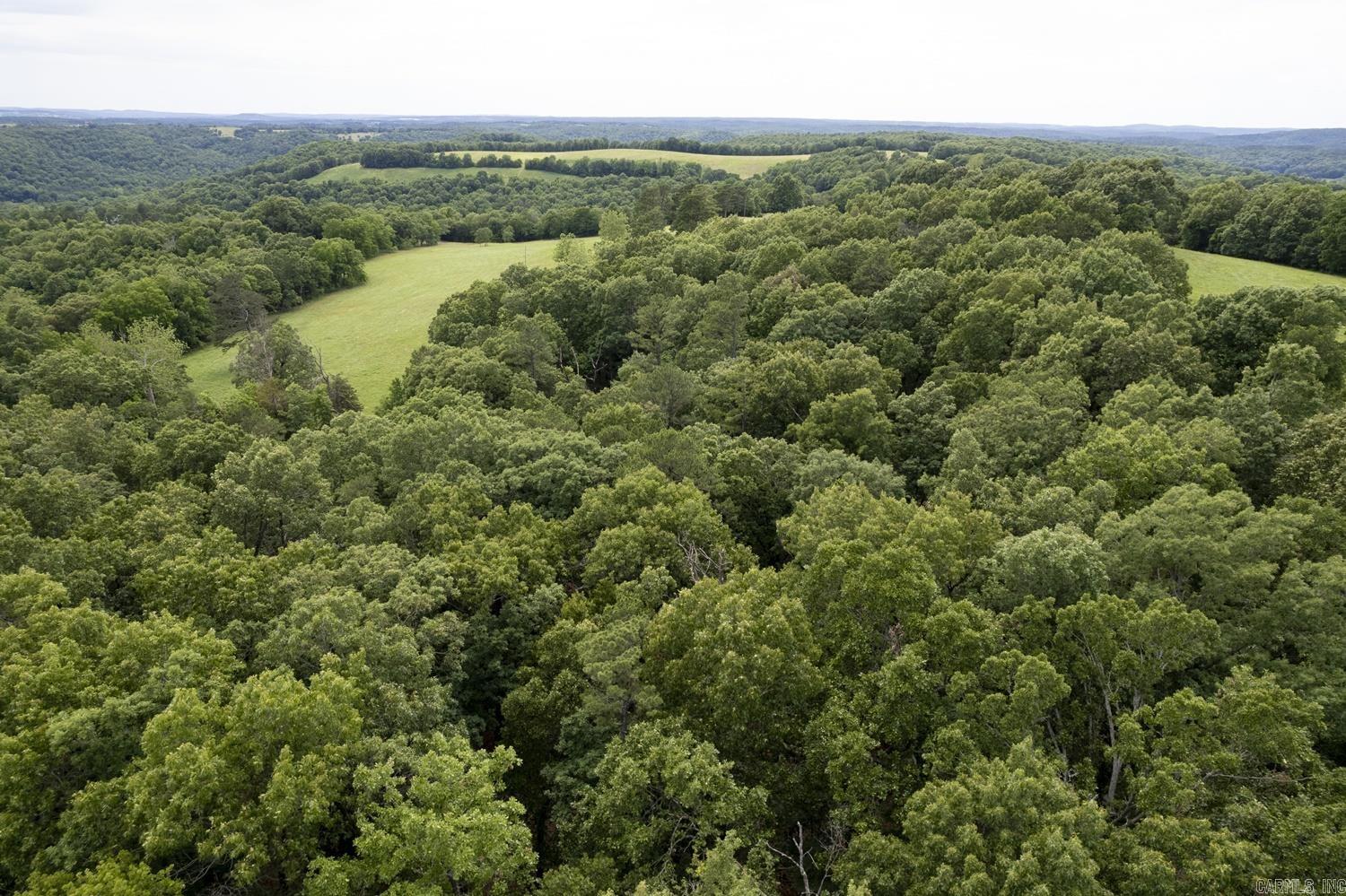 TBD  CR 510  Berryville, AR