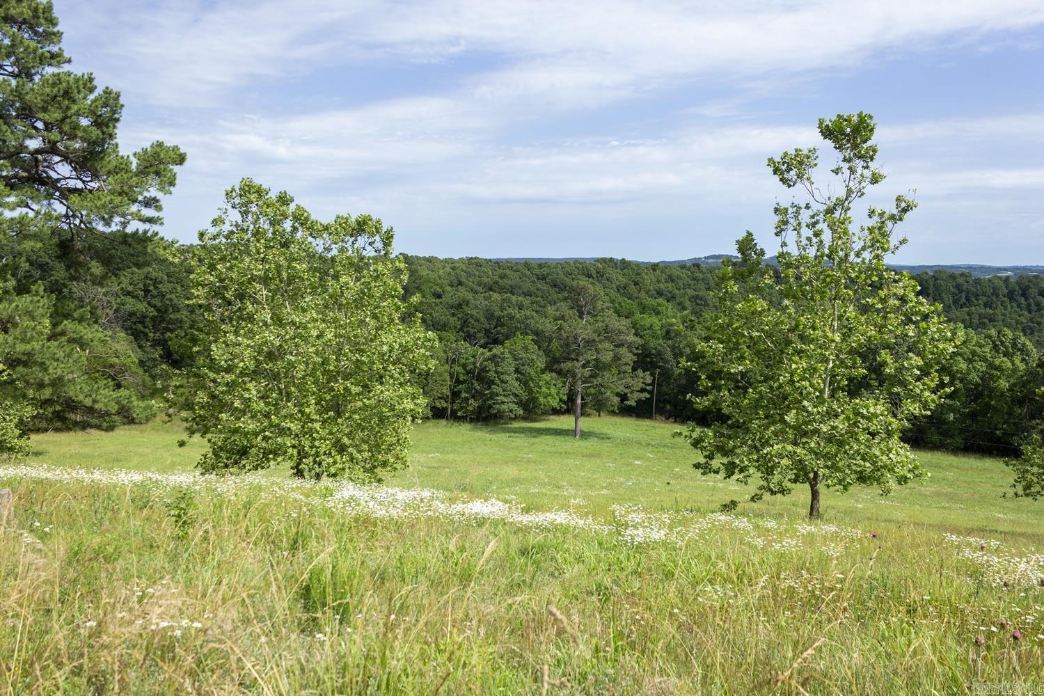 TBD  CR 510  Berryville, AR