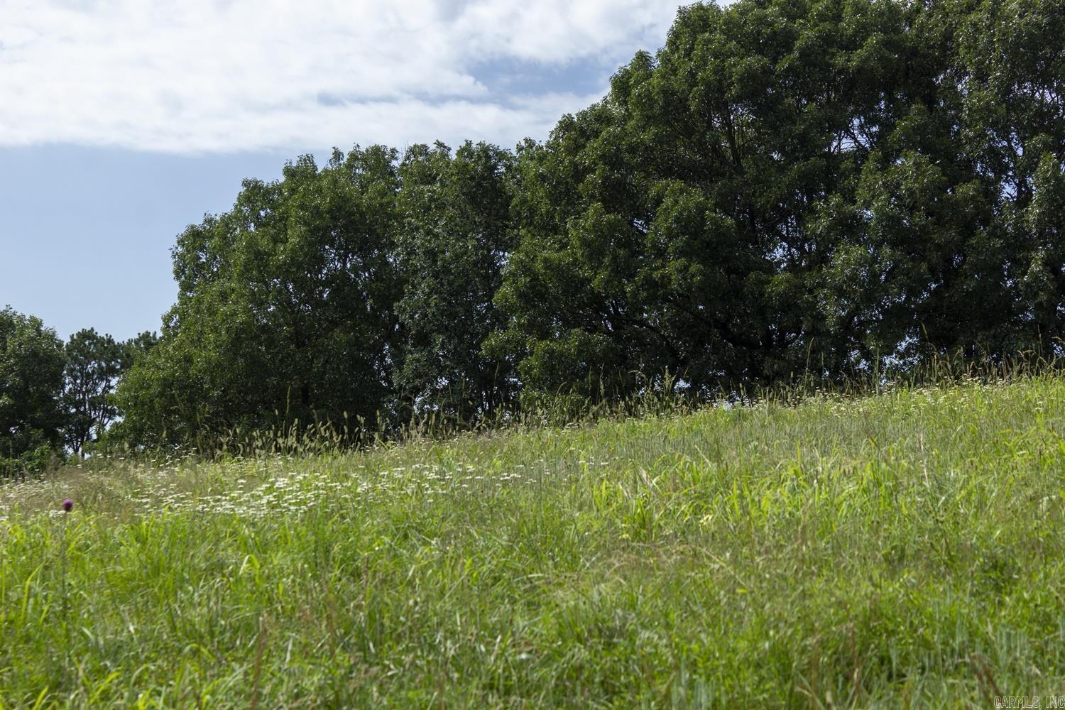 TBD  CR 510  Berryville, AR