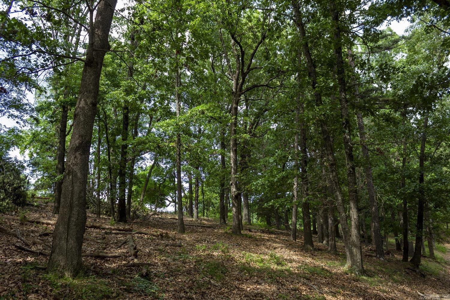 TBD  CR 510  Berryville, AR