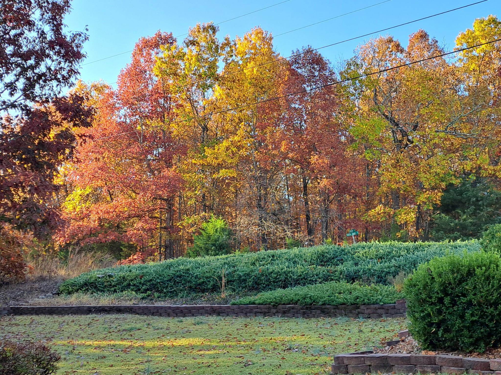 2402  South Shore  Horseshoe Bend, AR