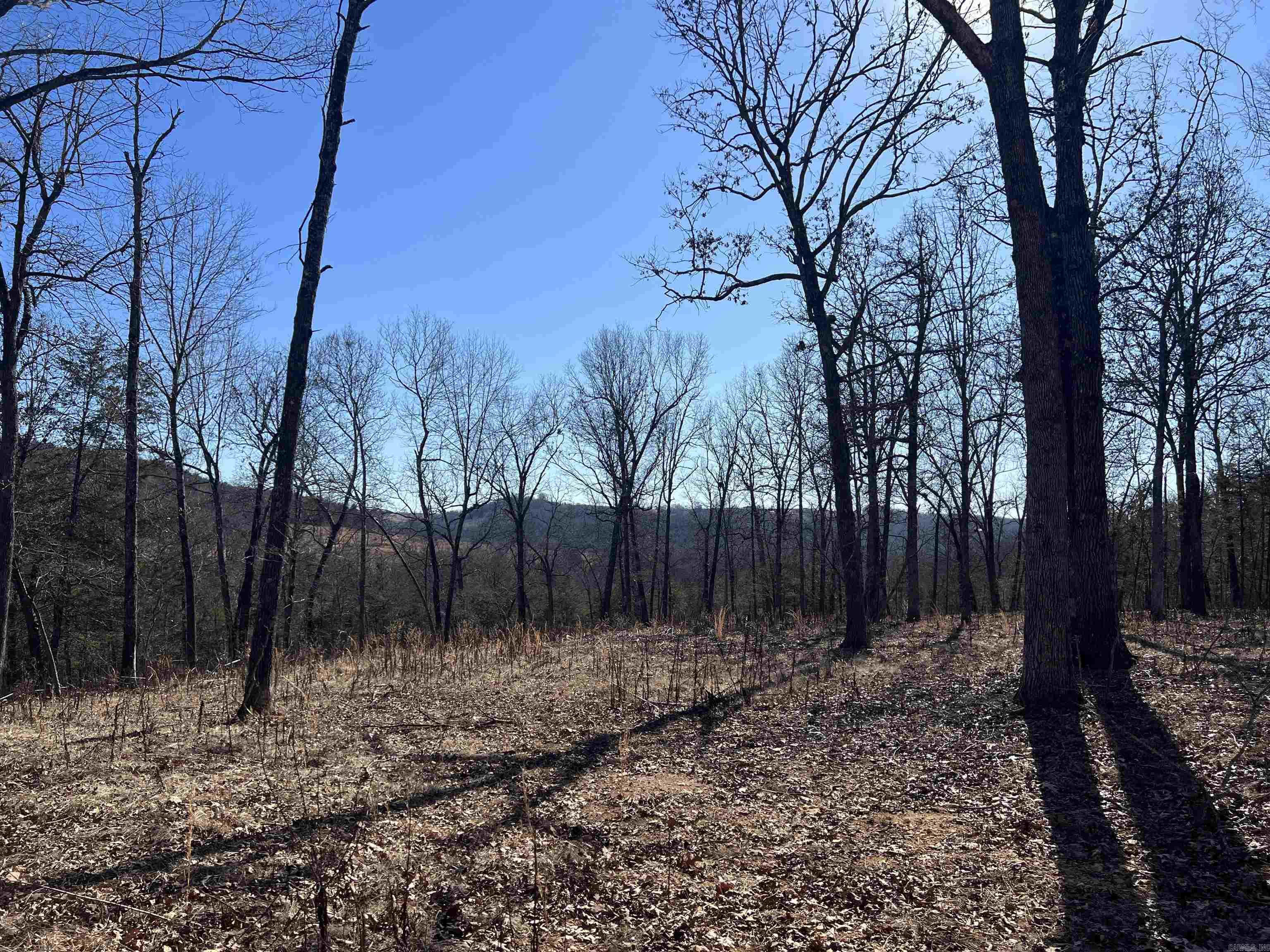 2216  Meadow Creek  Harrison, AR