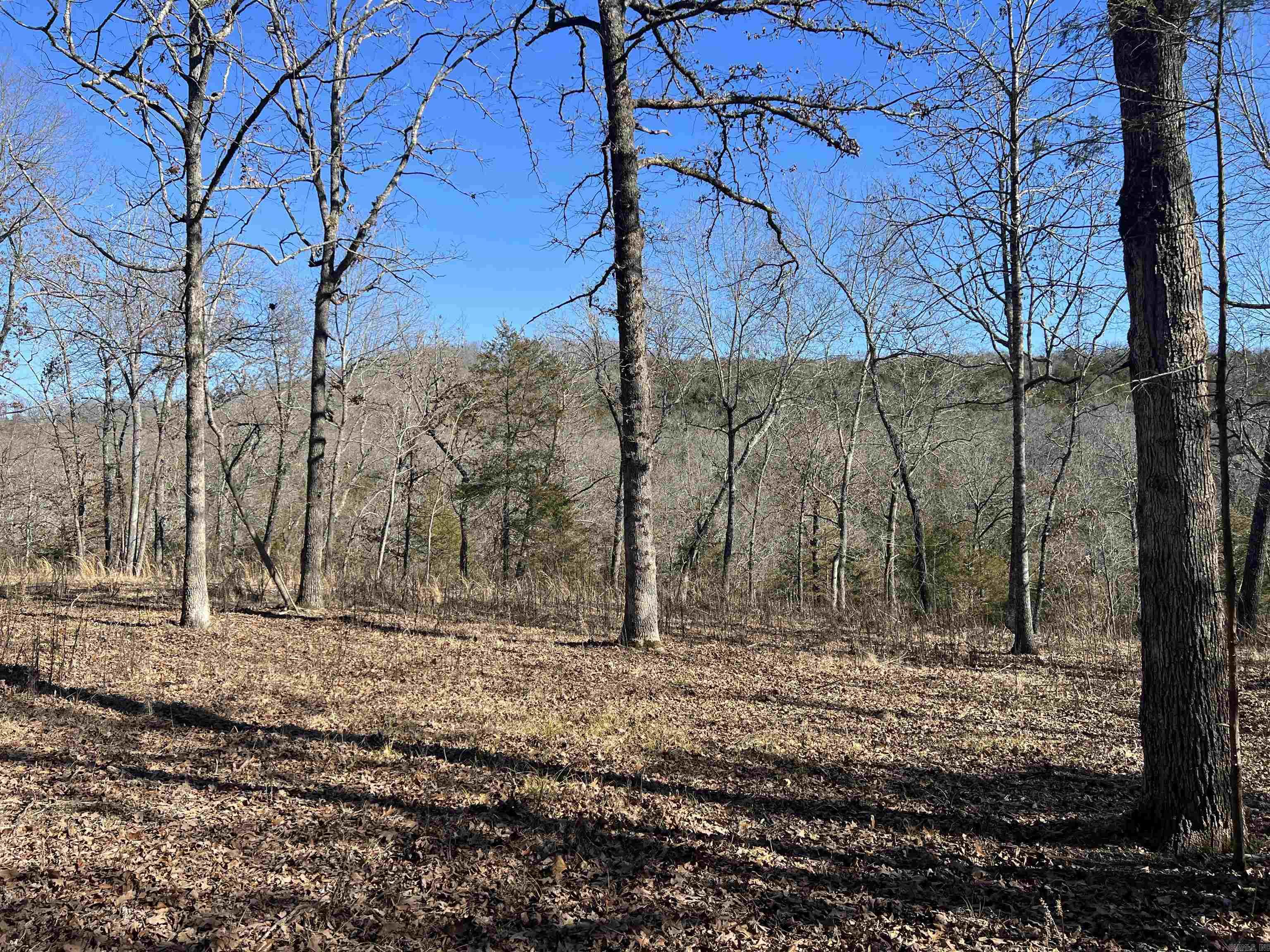 2216  Meadow Creek  Harrison, AR