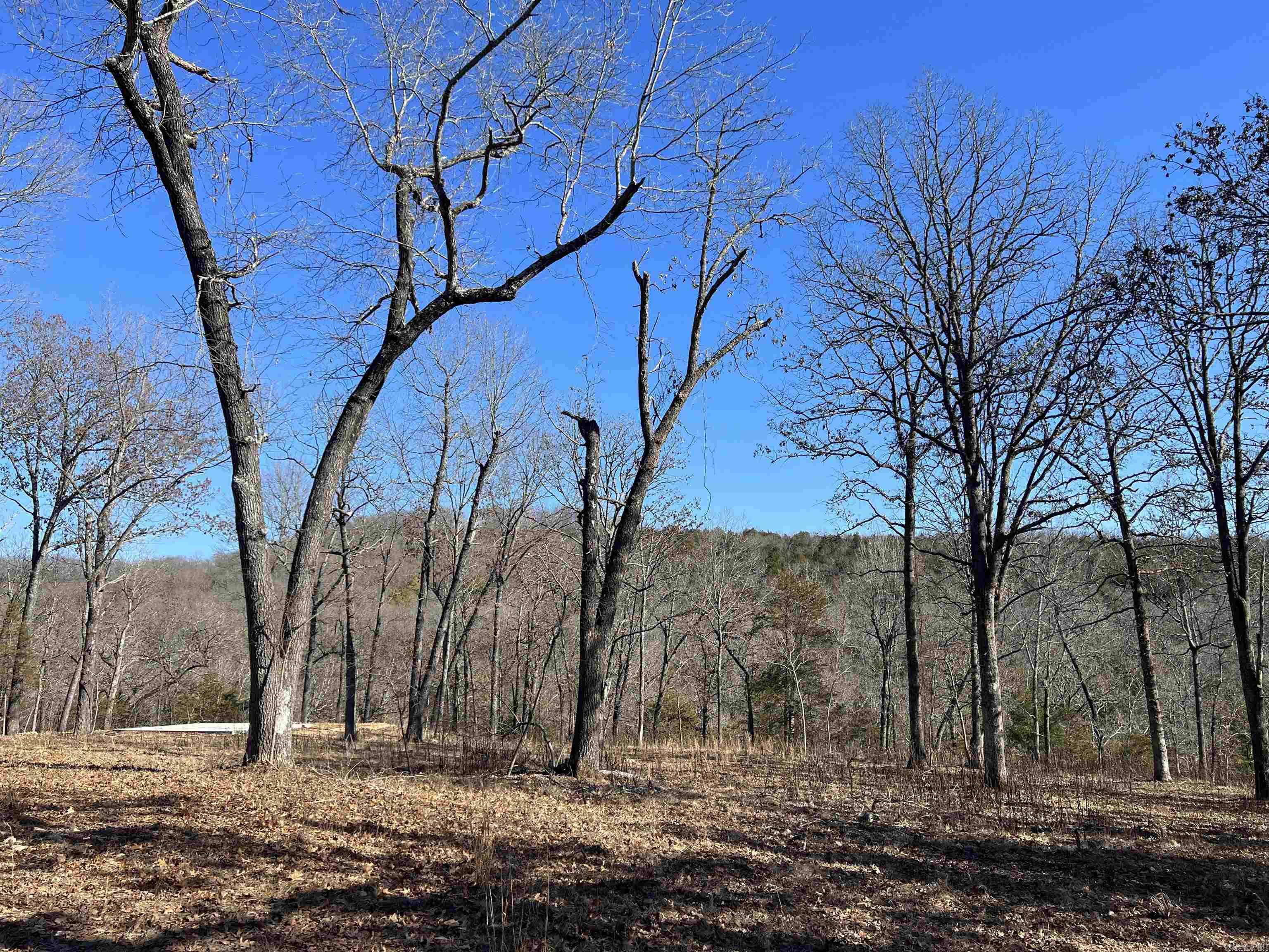 2216  Meadow Creek  Harrison, AR
