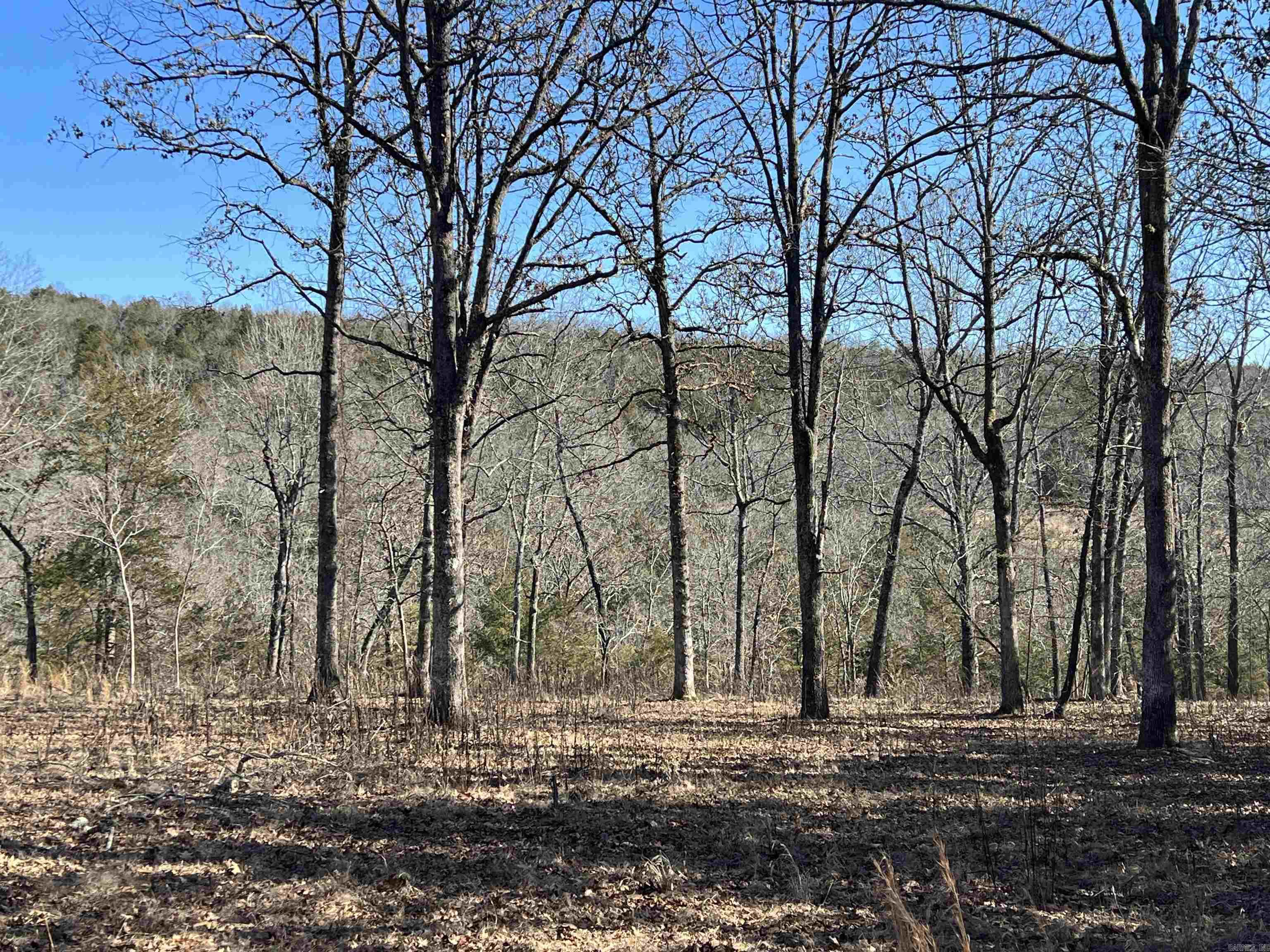 2216  Meadow Creek  Harrison, AR