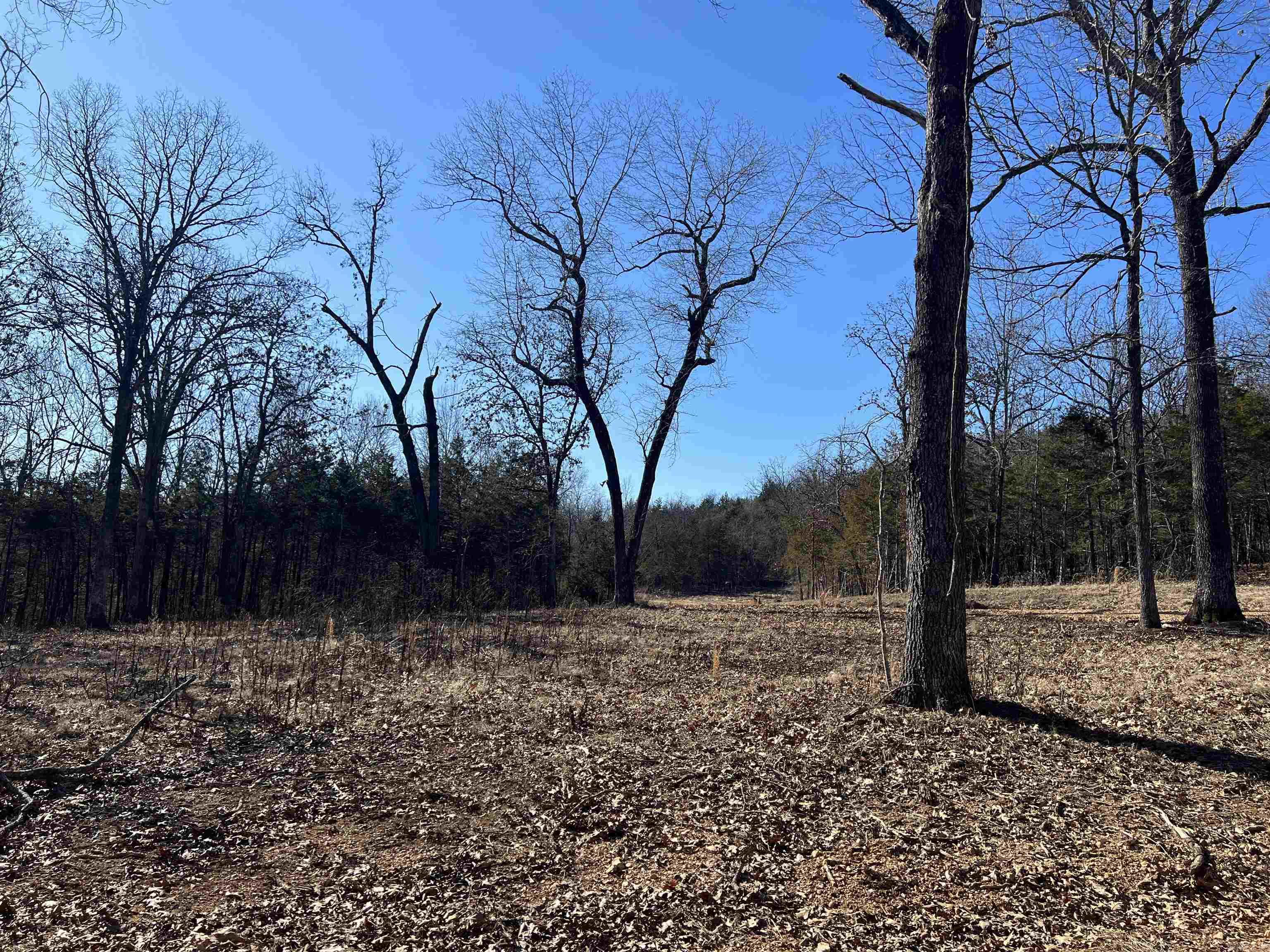 2216  Meadow Creek  Harrison, AR