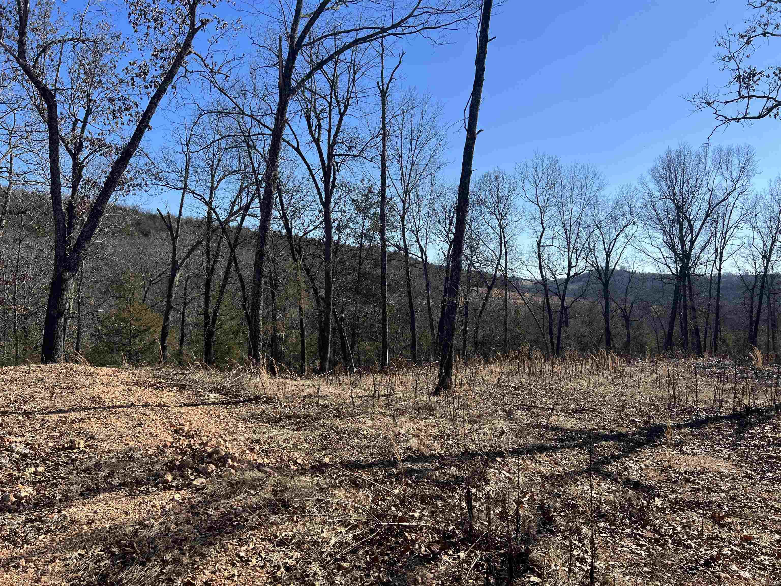 2216  Meadow Creek  Harrison, AR
