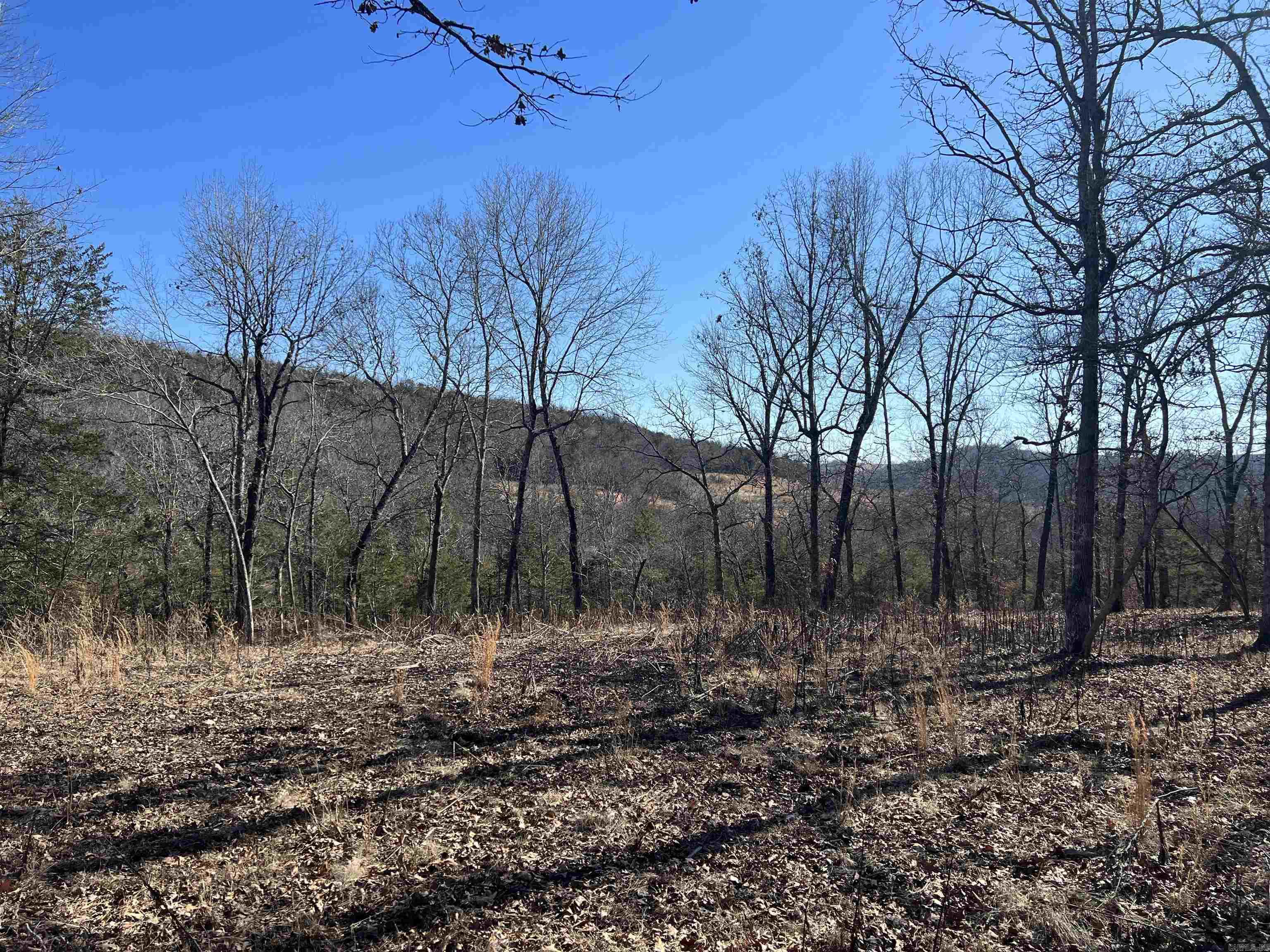 2216  Meadow Creek  Harrison, AR