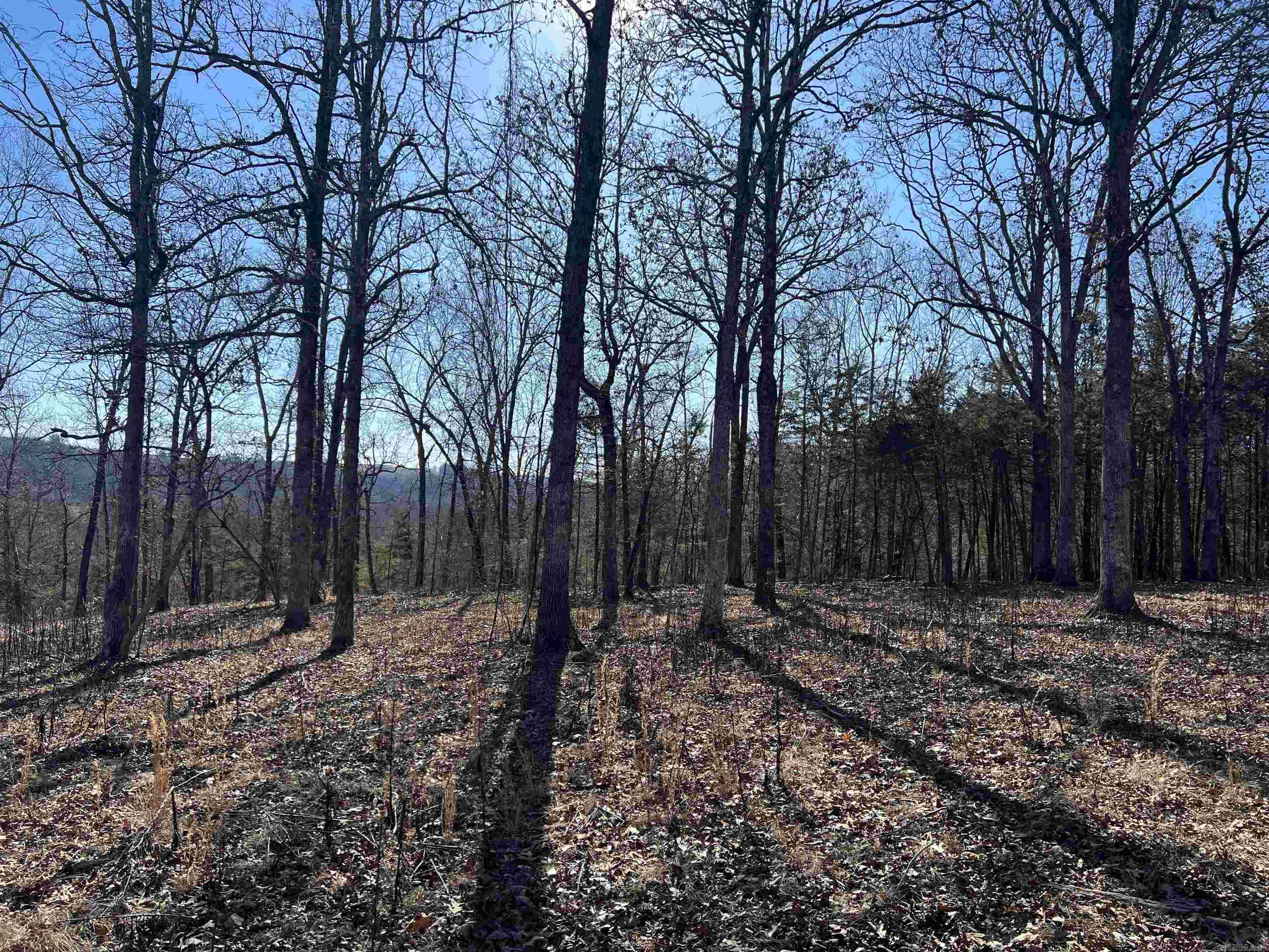 2216  Meadow Creek  Harrison, AR