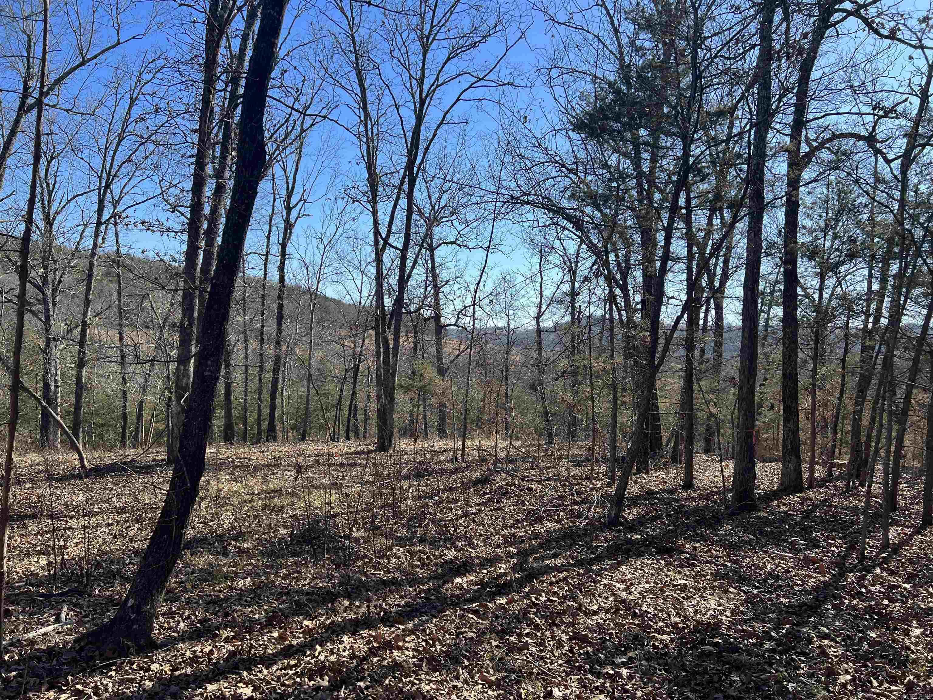 2216  Meadow Creek  Harrison, AR