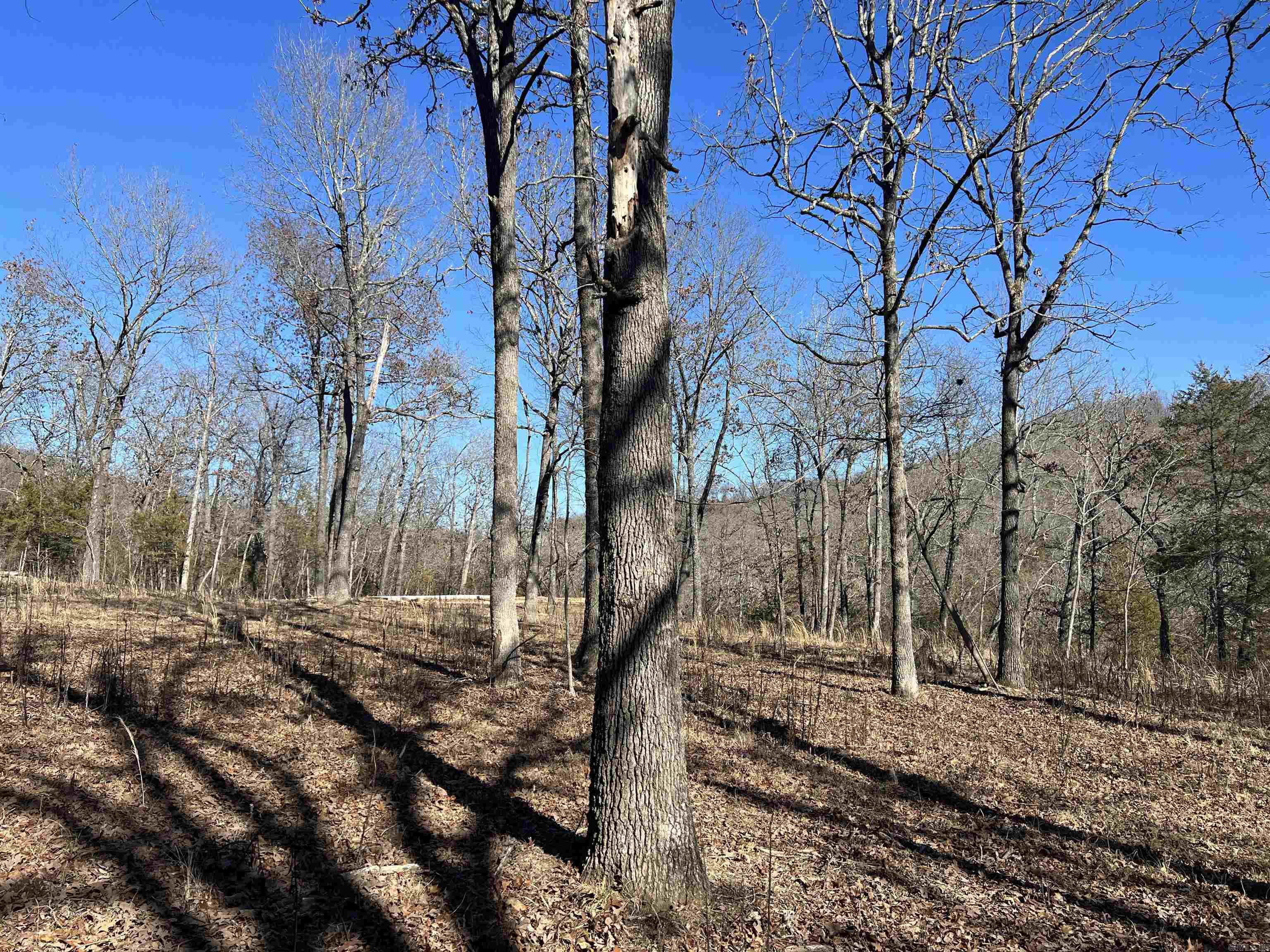 2216  Meadow Creek  Harrison, AR