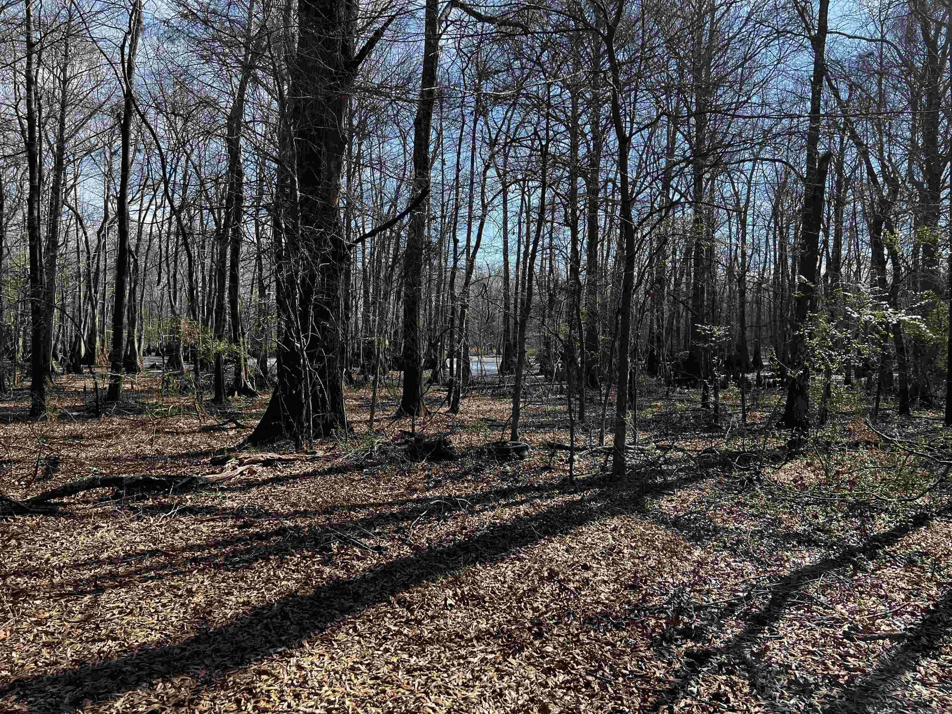 000  McClendon  North Little Rock, AR