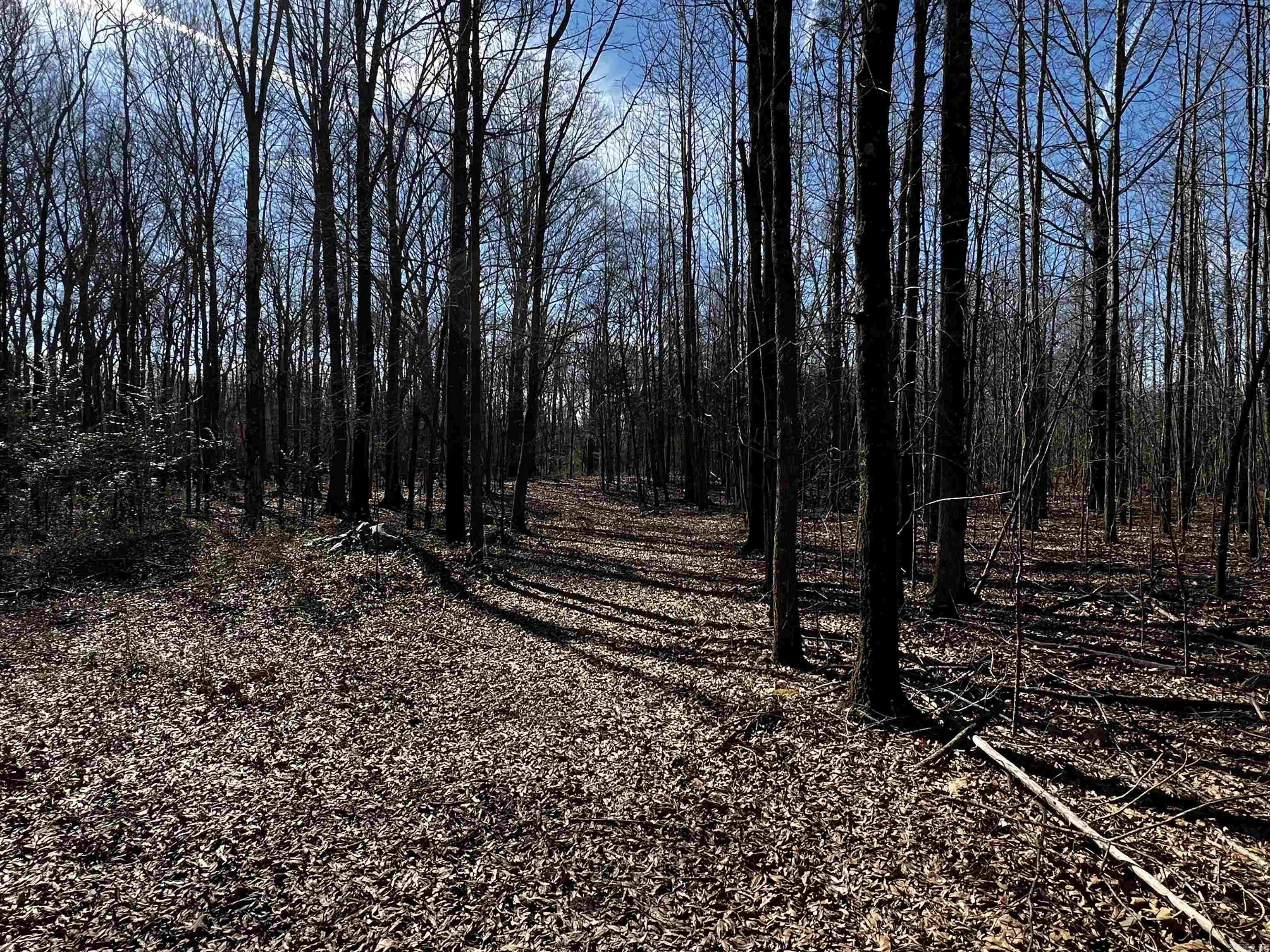 000  McClendon  North Little Rock, AR