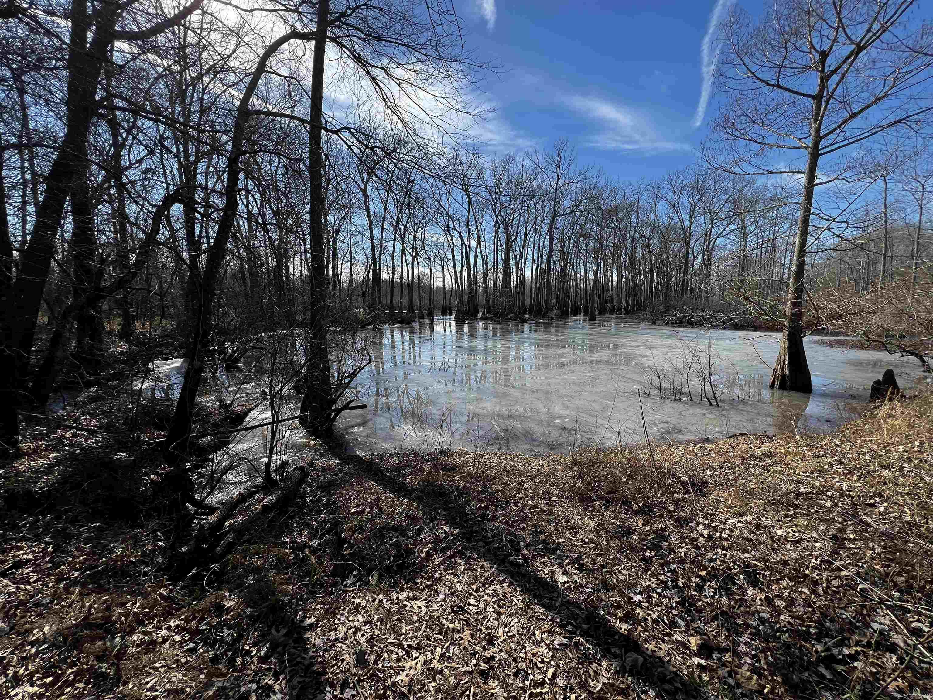 000  McClendon  North Little Rock, AR