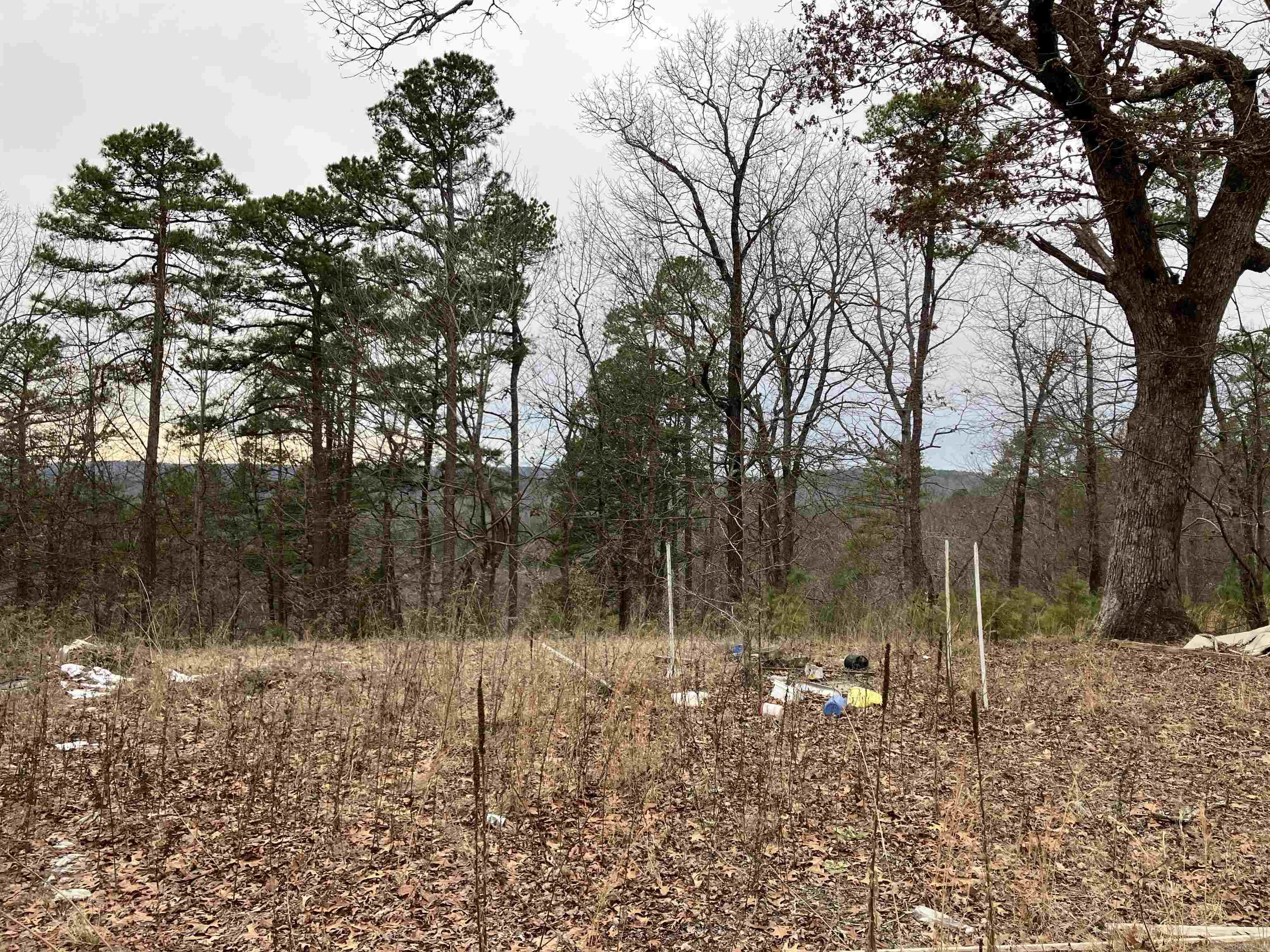 12329 W Highway 16  Clinton, AR