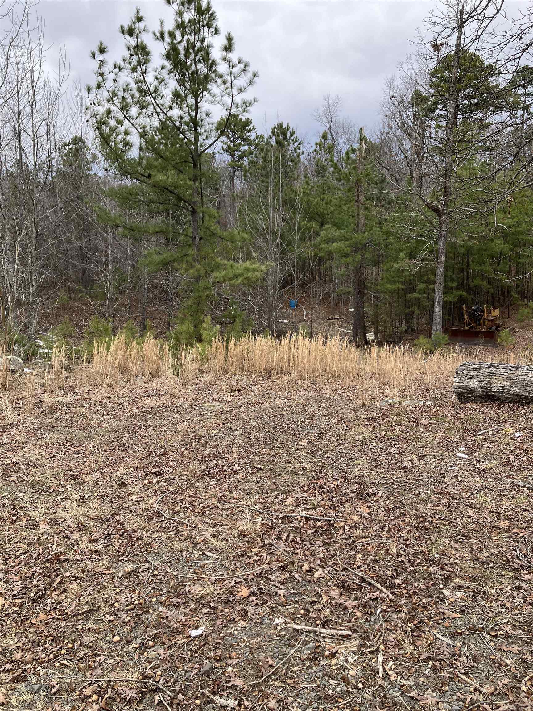 12329 W Highway 16  Clinton, AR