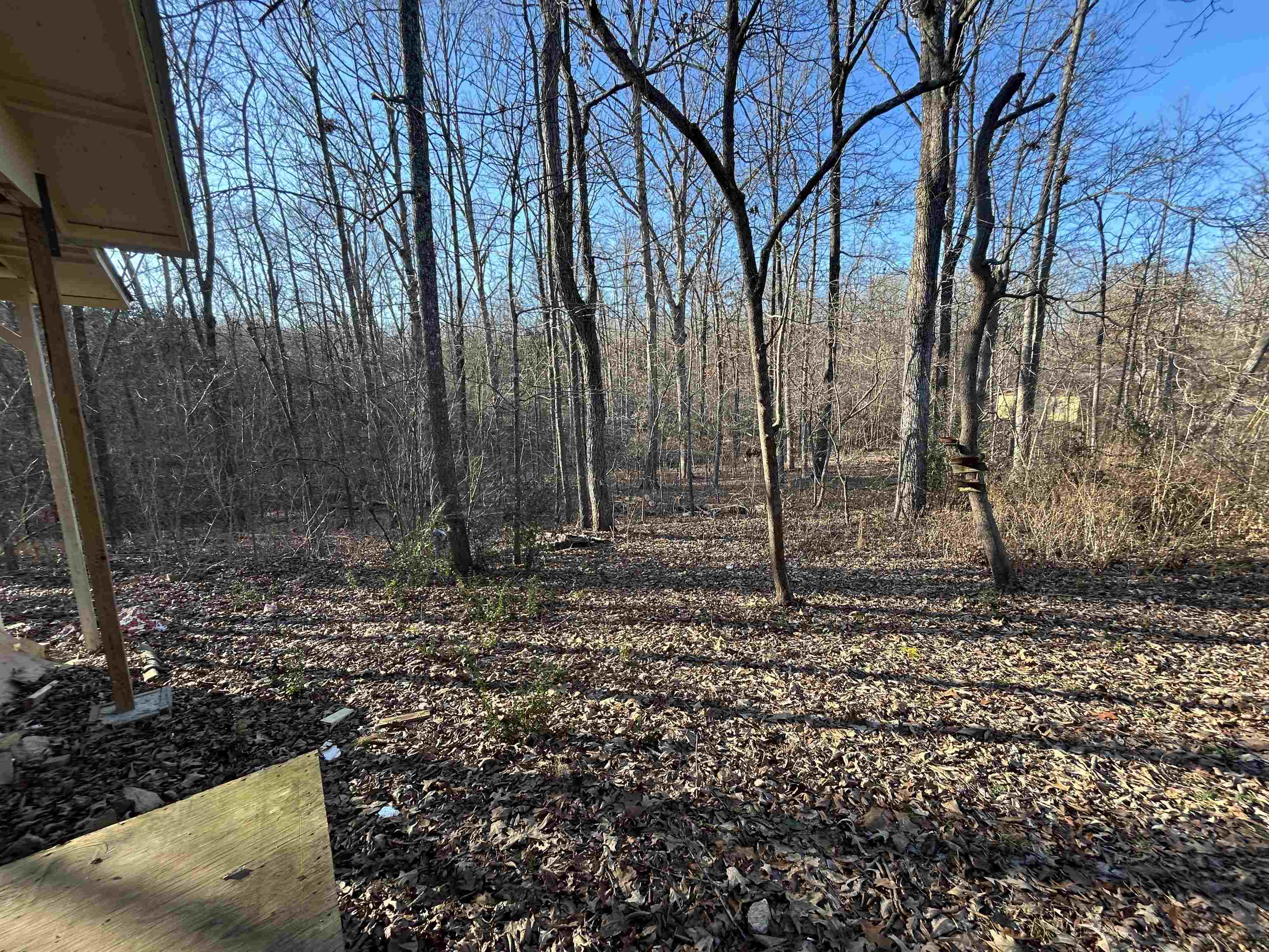 39  Quail  Ozark Acres, AR