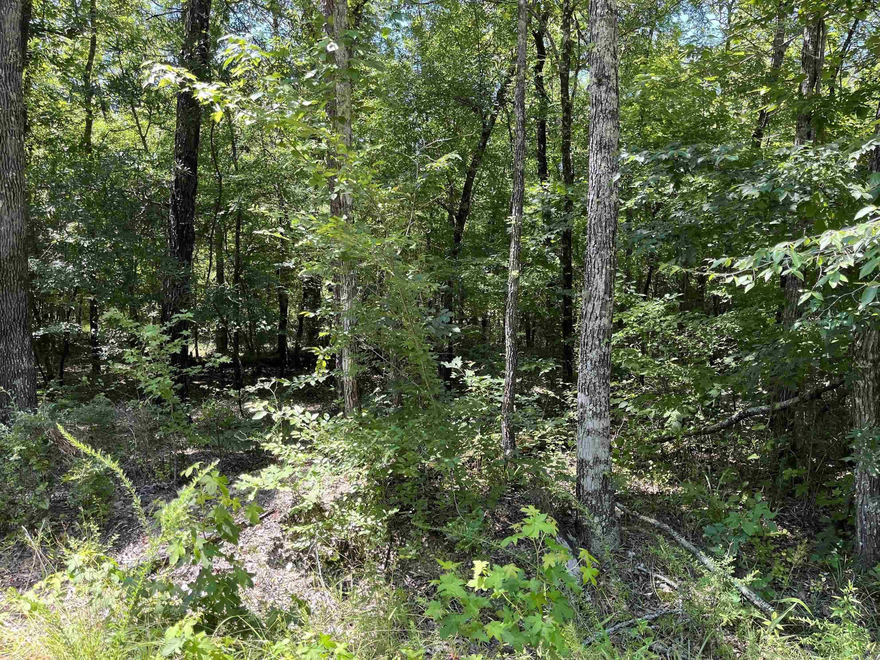 2  Murillo Circle  Hot Springs Village, AR
